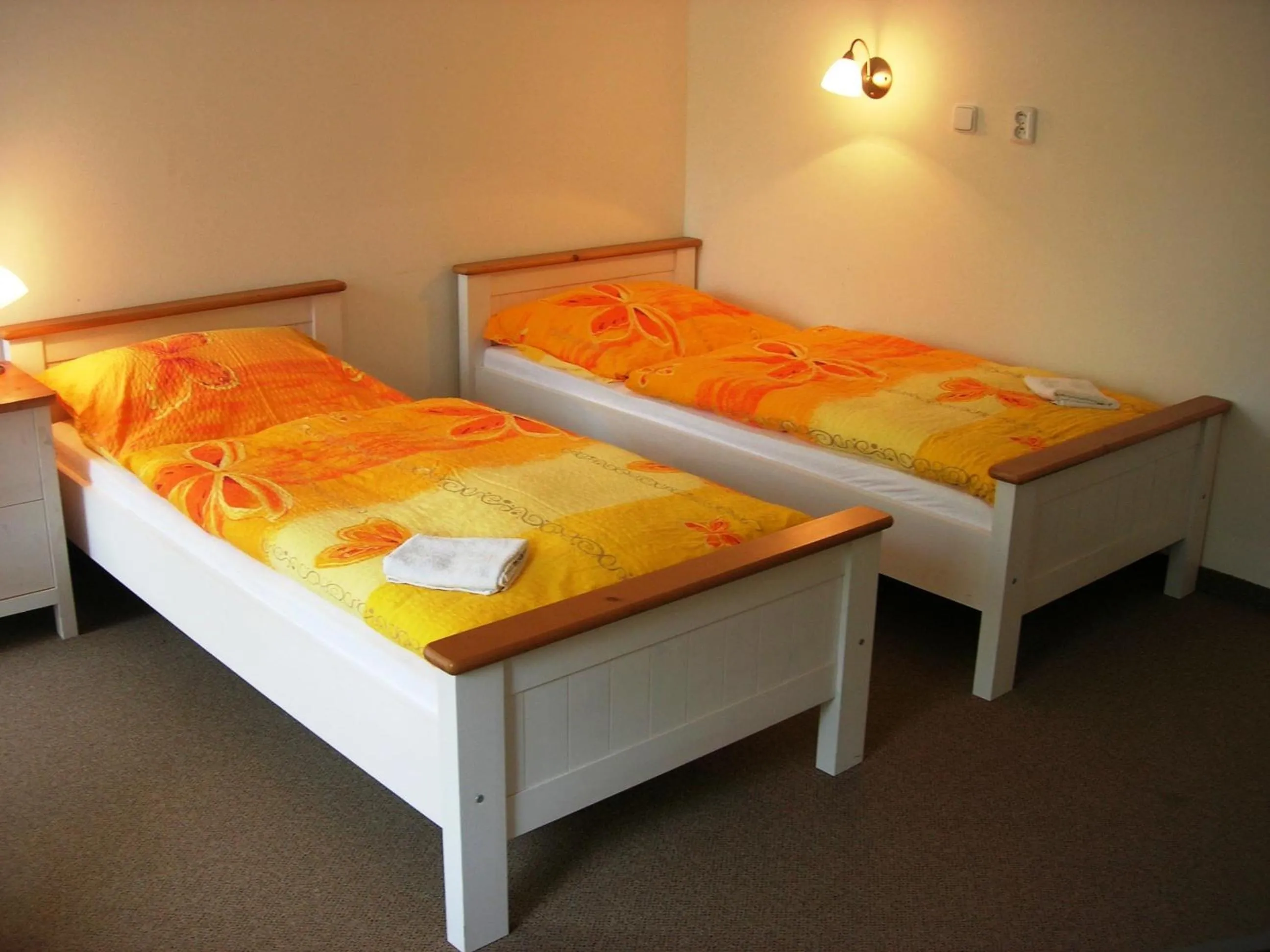 Twin Room - single occupancy in Penzion Ve Skale