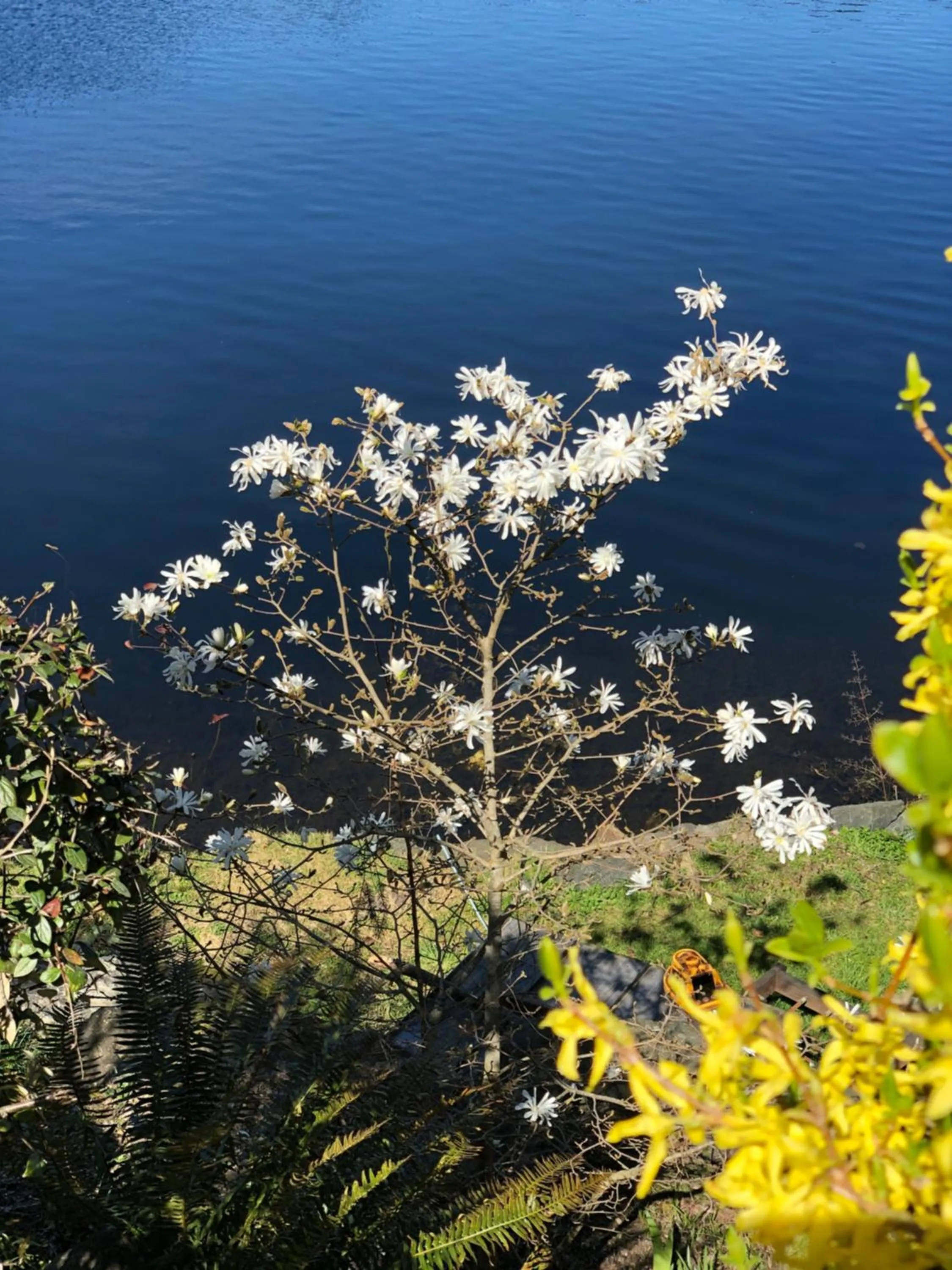 Cycle Inn Bed and Breakfast