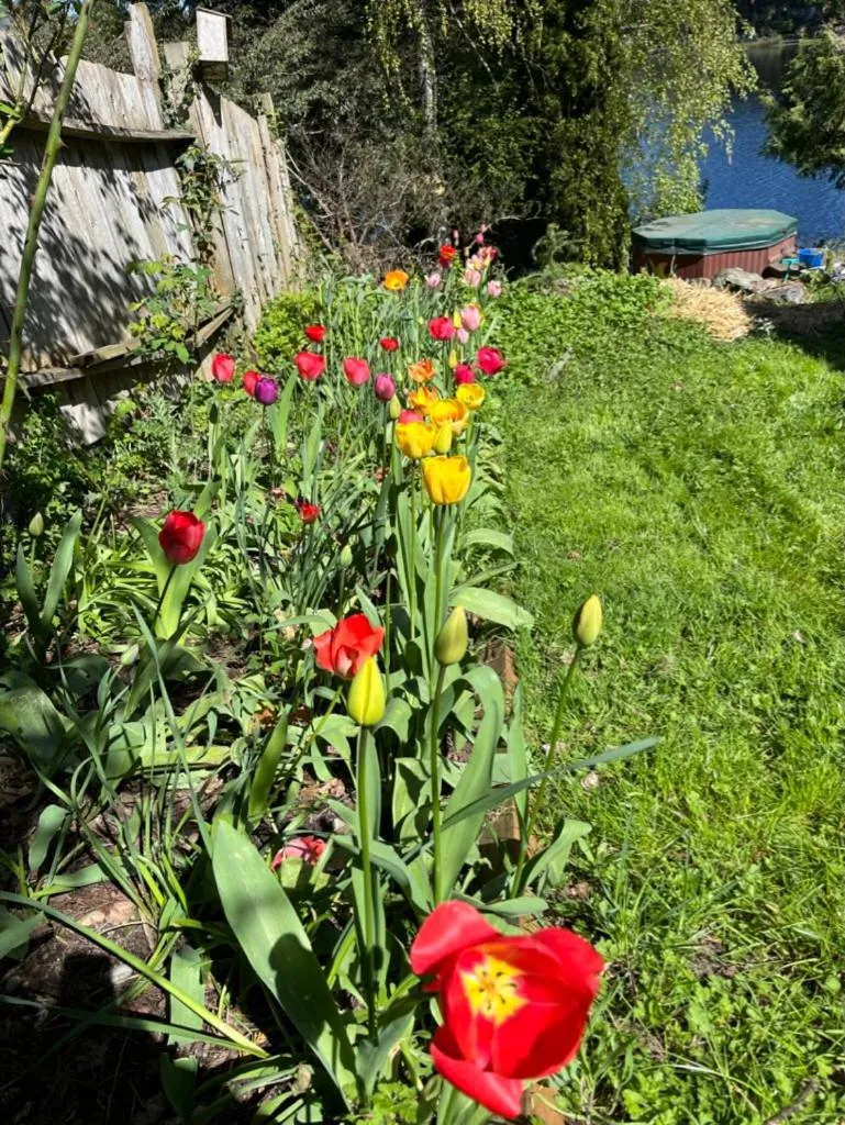 View (from property/room) in Cycle Inn Bed and Breakfast