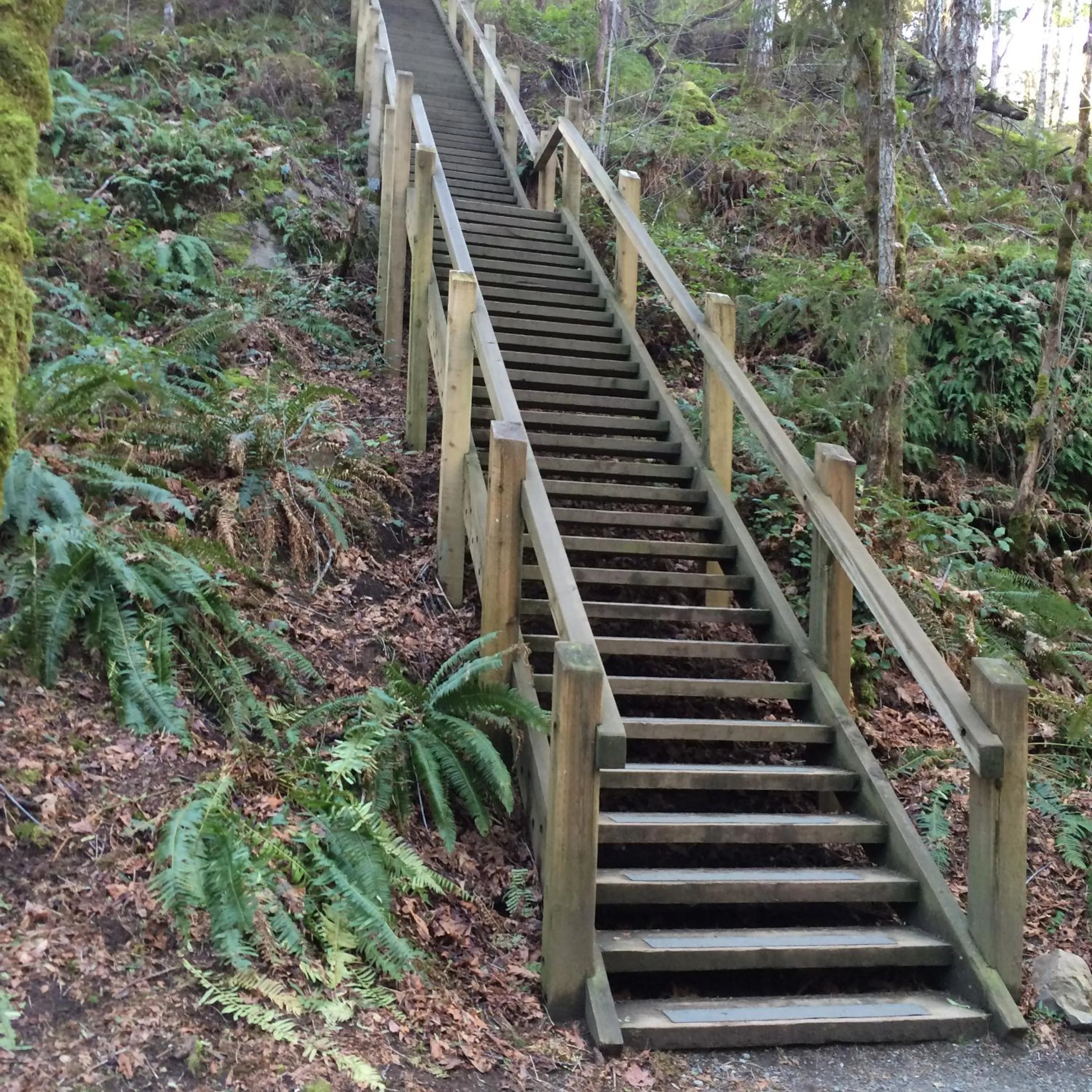 Neighbourhood in Cycle Inn Bed and Breakfast