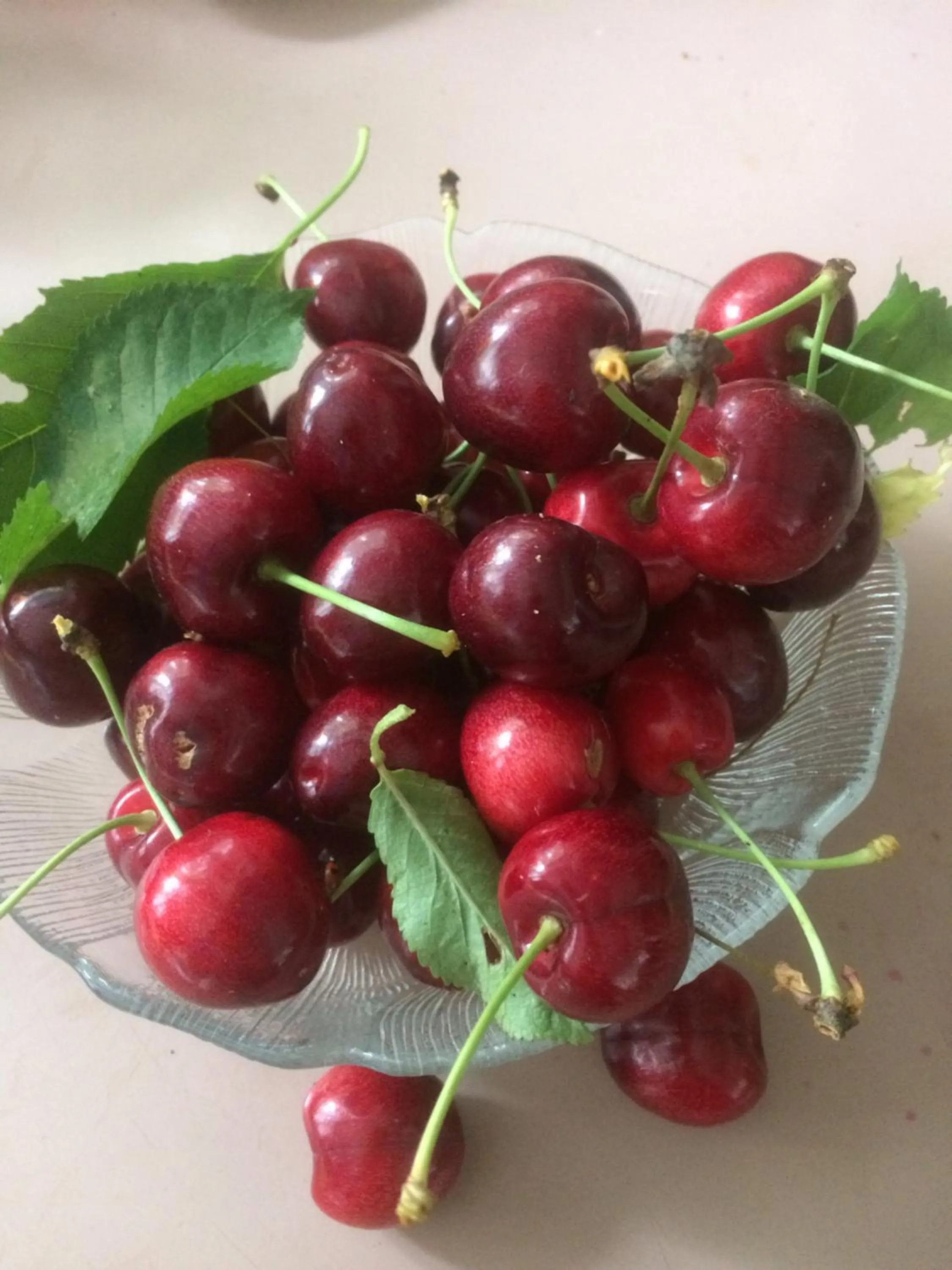 Cycle Inn Bed and Breakfast