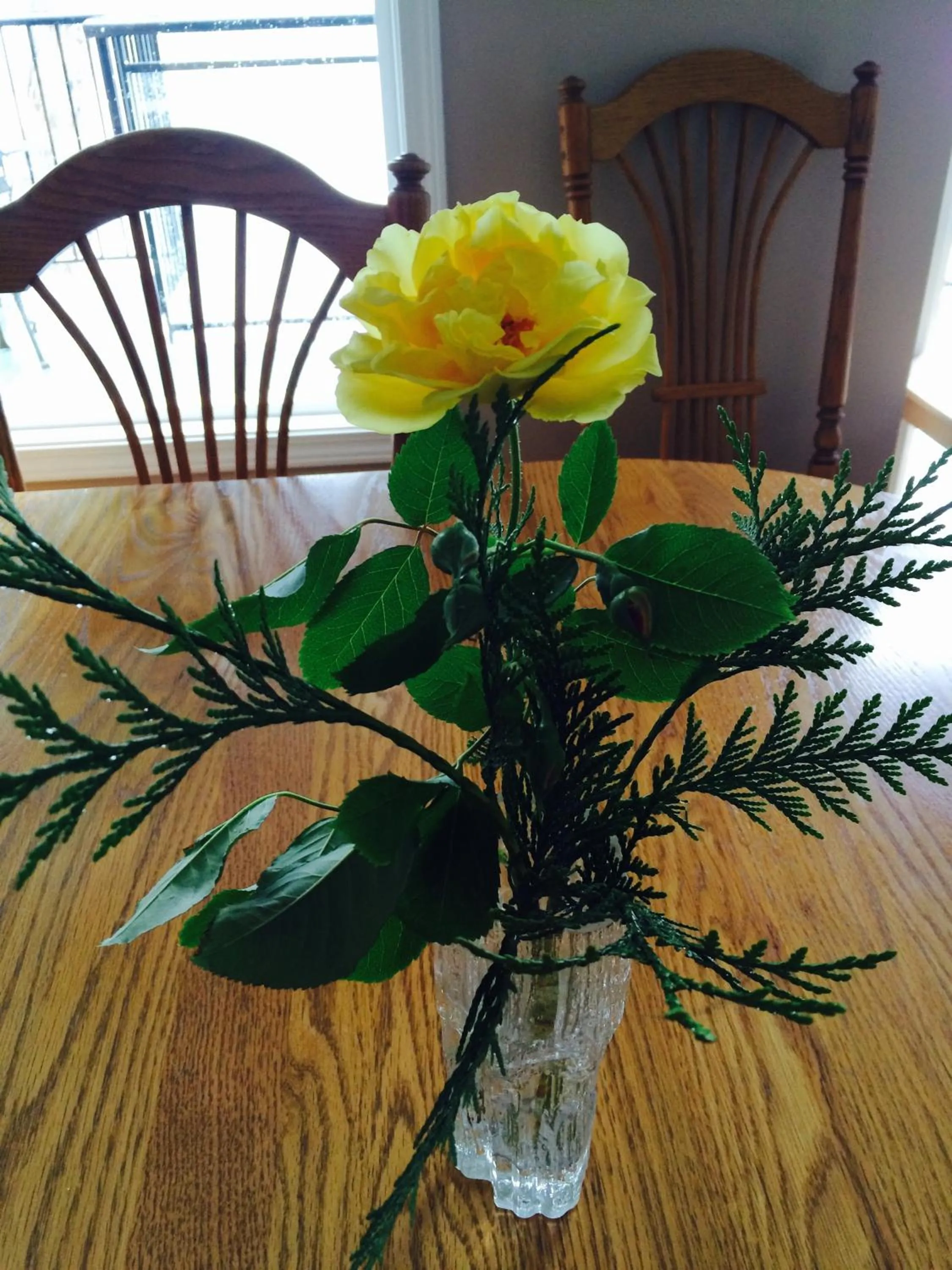 Restaurant/places to eat in Cycle Inn Bed and Breakfast