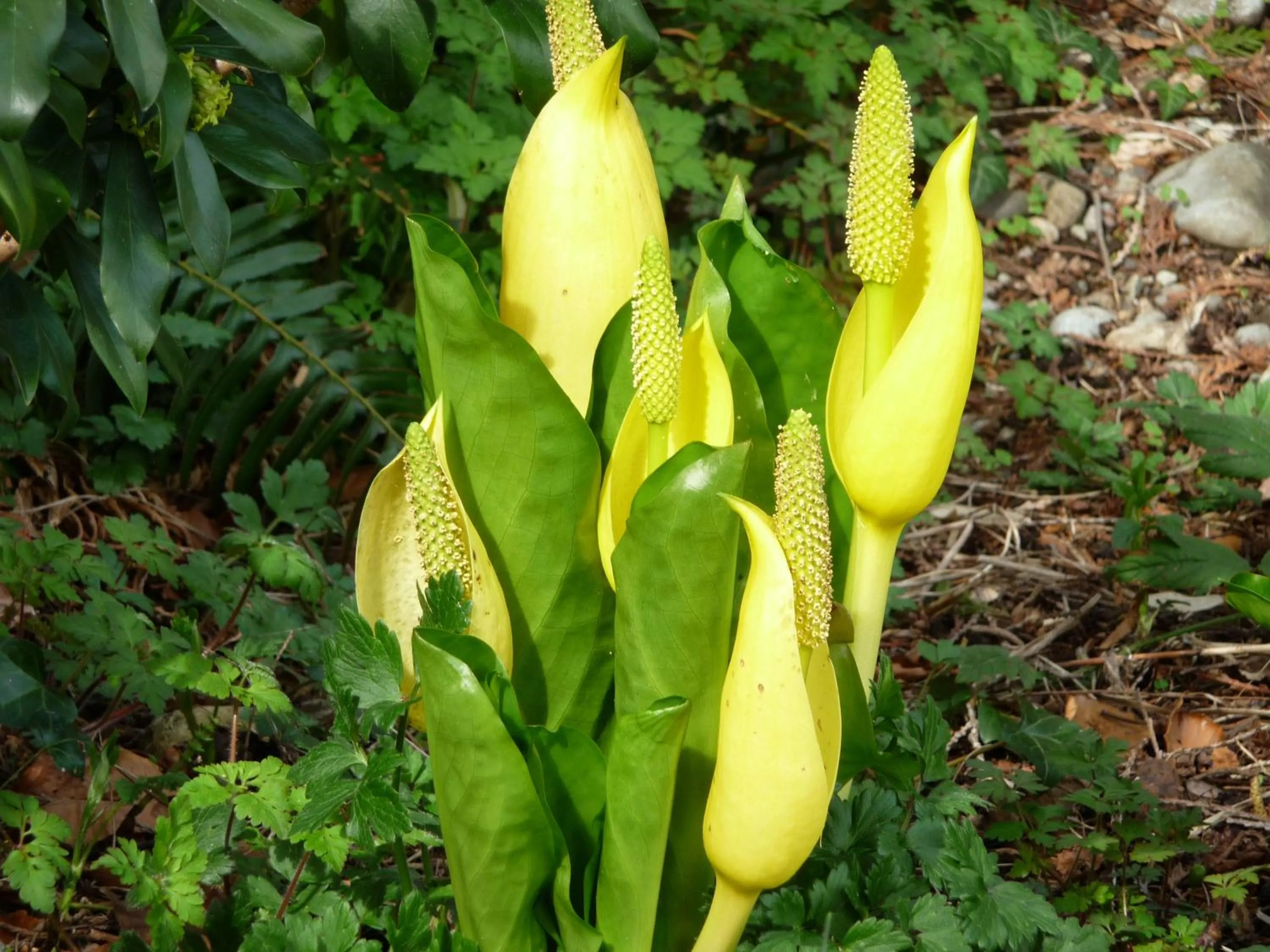 Facade/entrance in Cycle Inn Bed and Breakfast