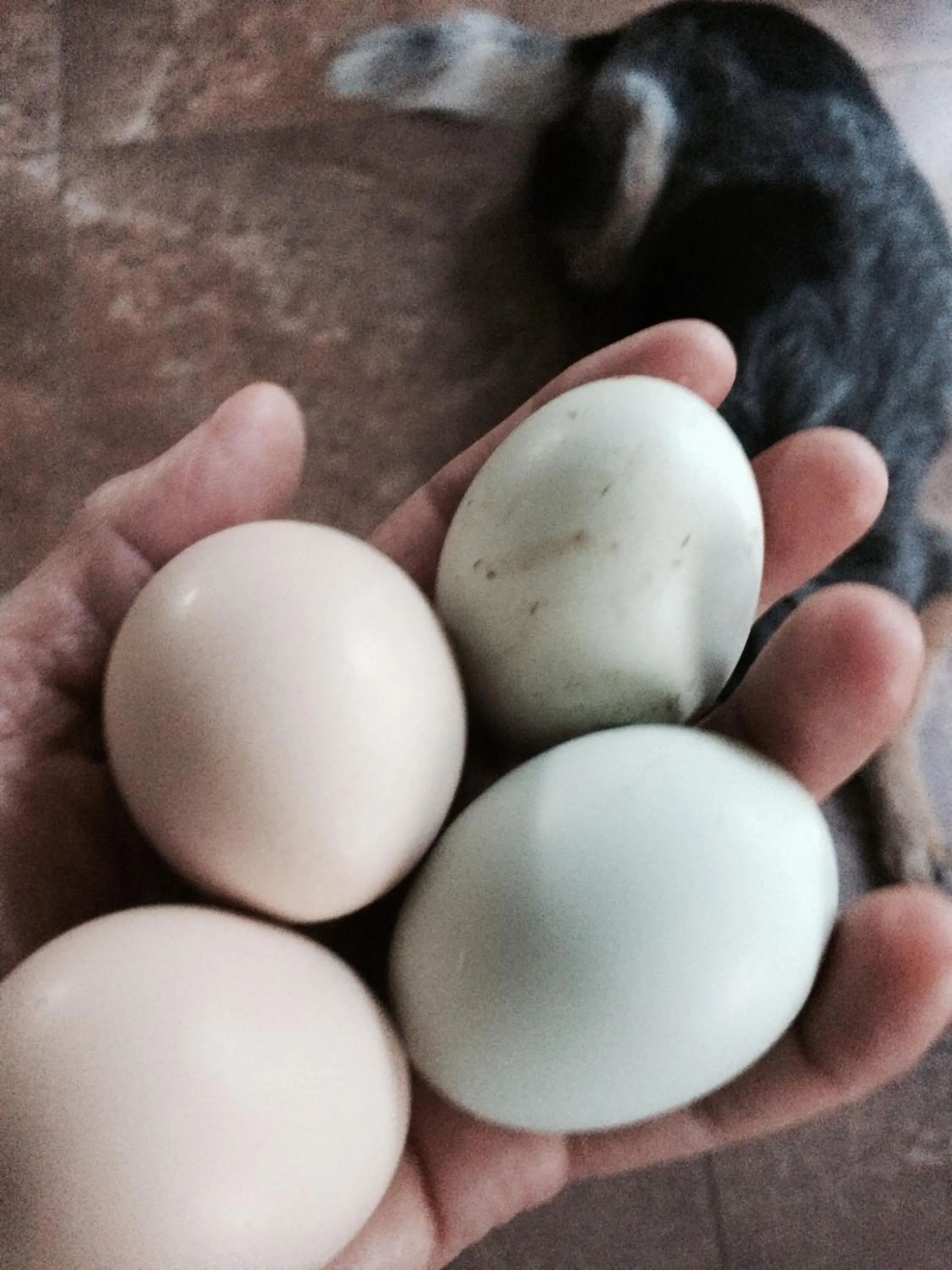Decorative detail in Cycle Inn Bed and Breakfast