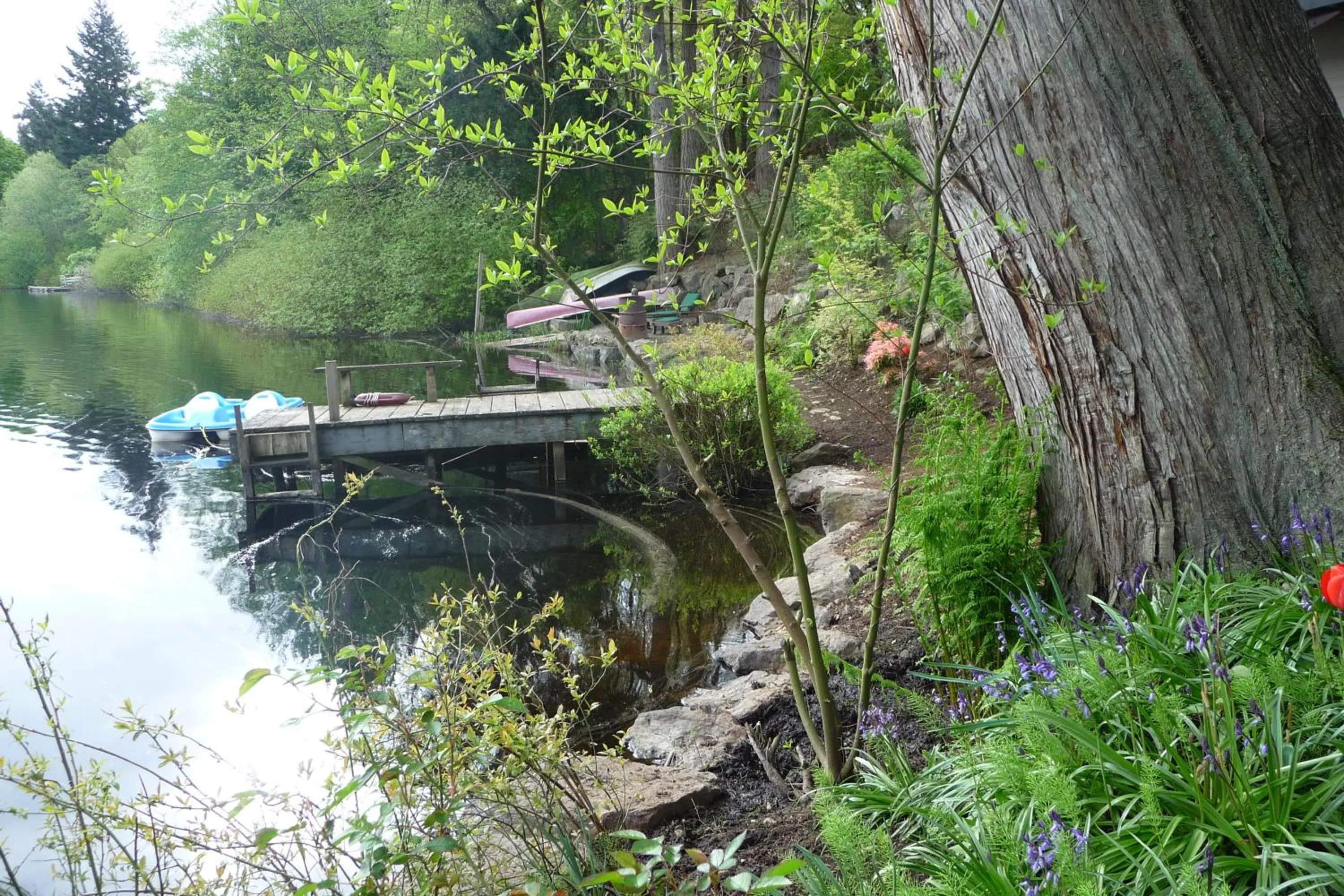Garden in Cycle Inn Bed and Breakfast
