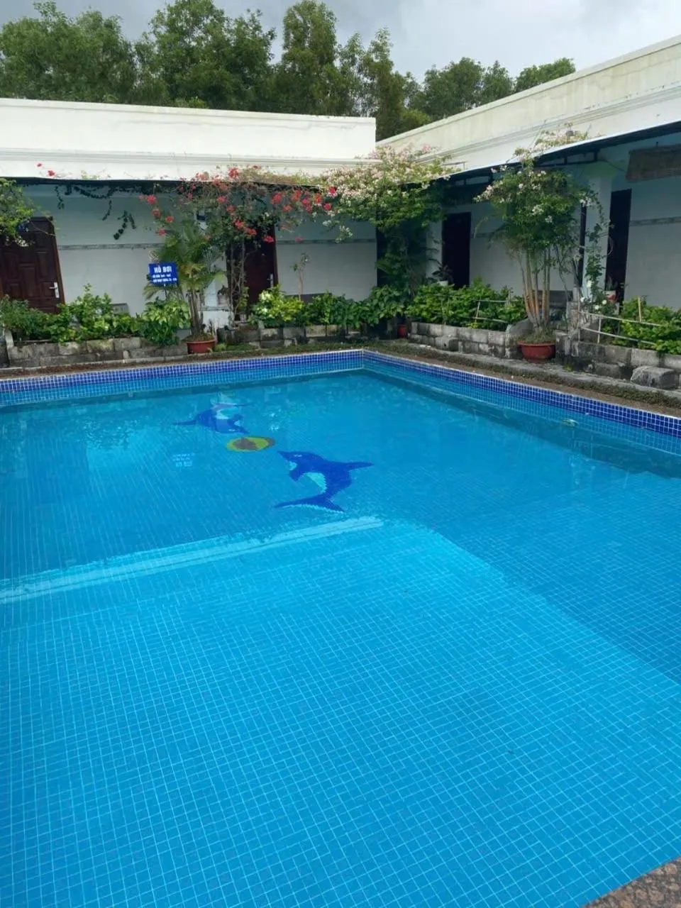 Swimming pool in Hotel Nguyên Toàn