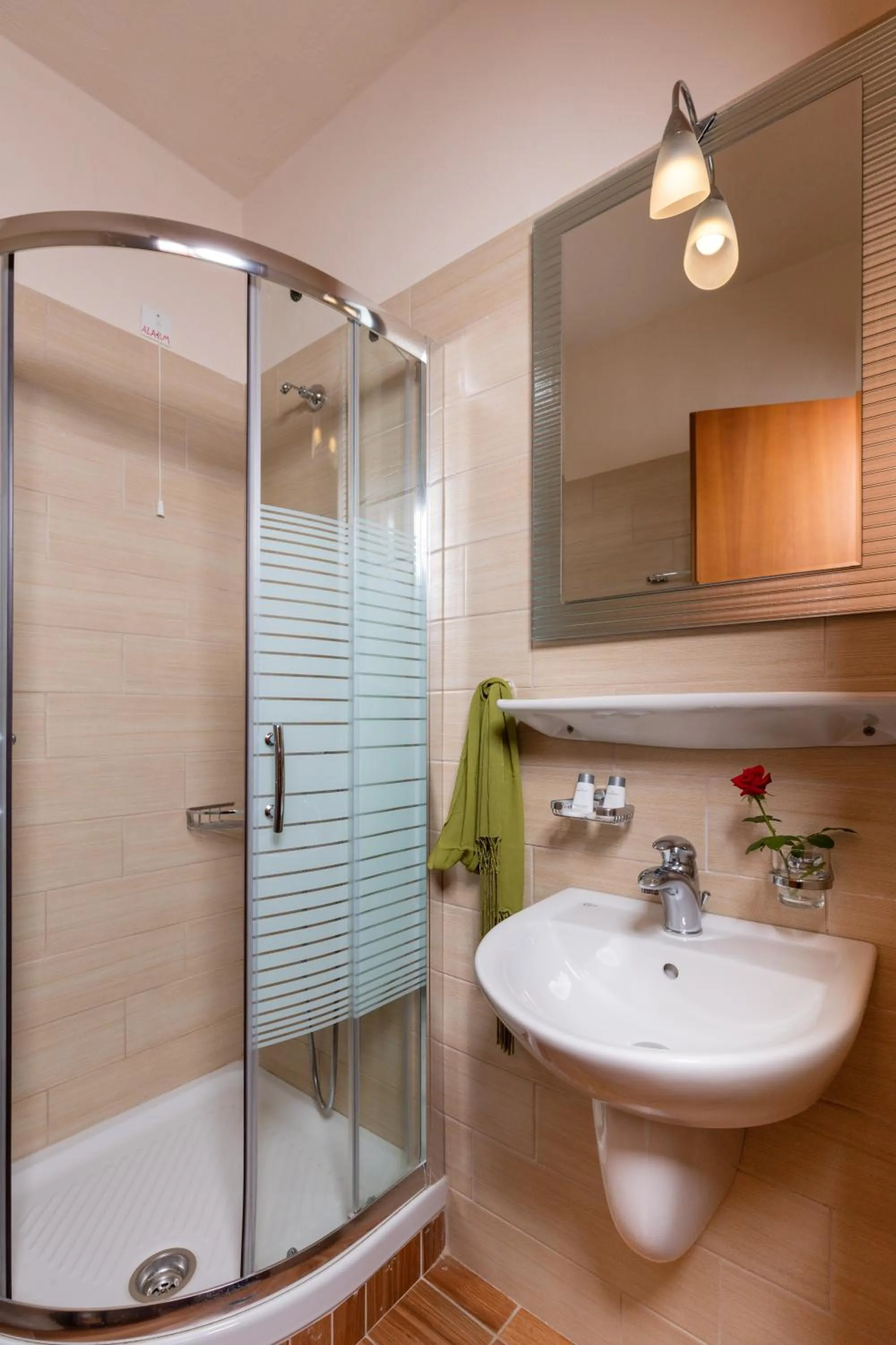 Shower in Philoxenia Inn