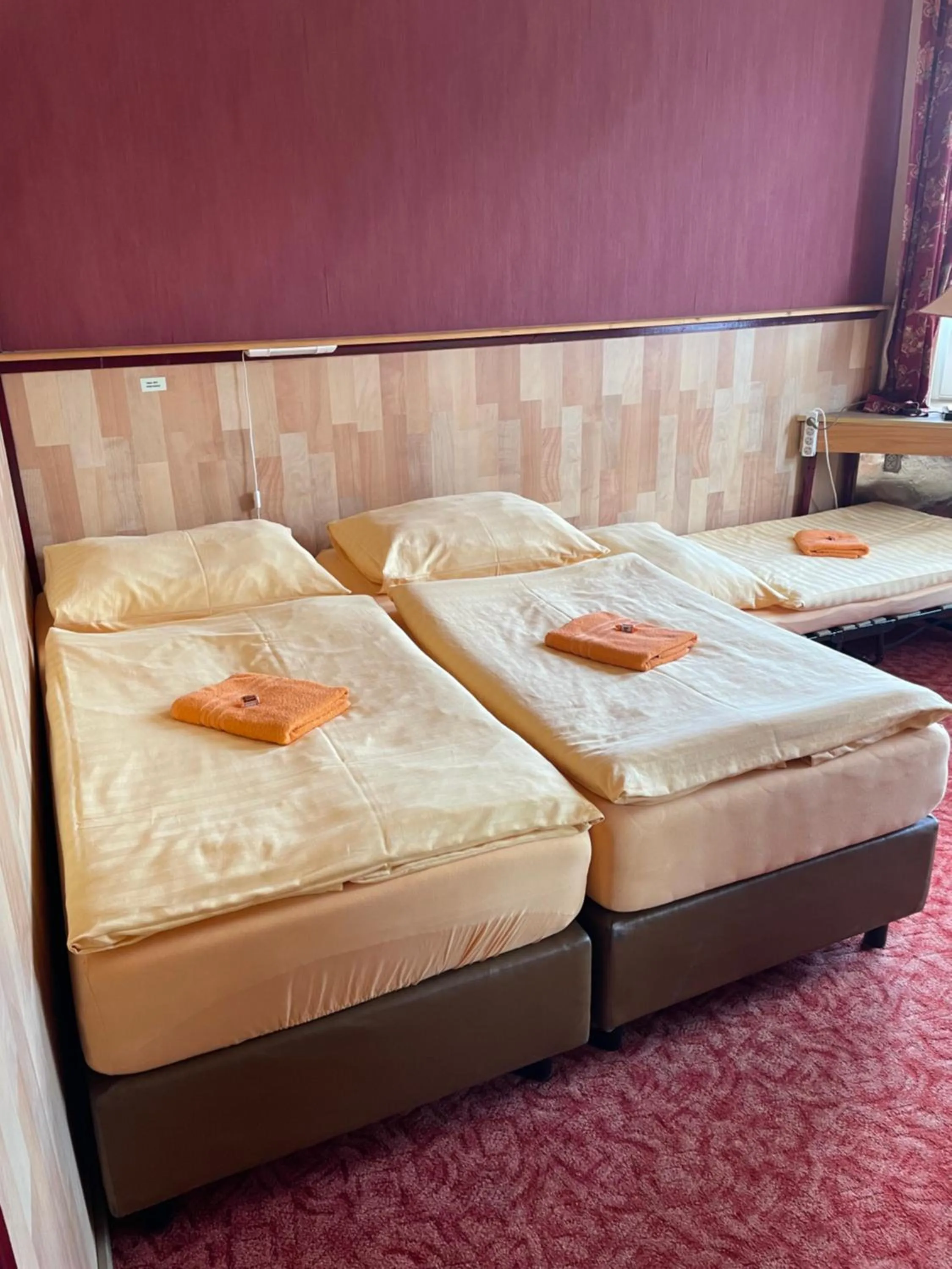 Bed in Hotel U Branky