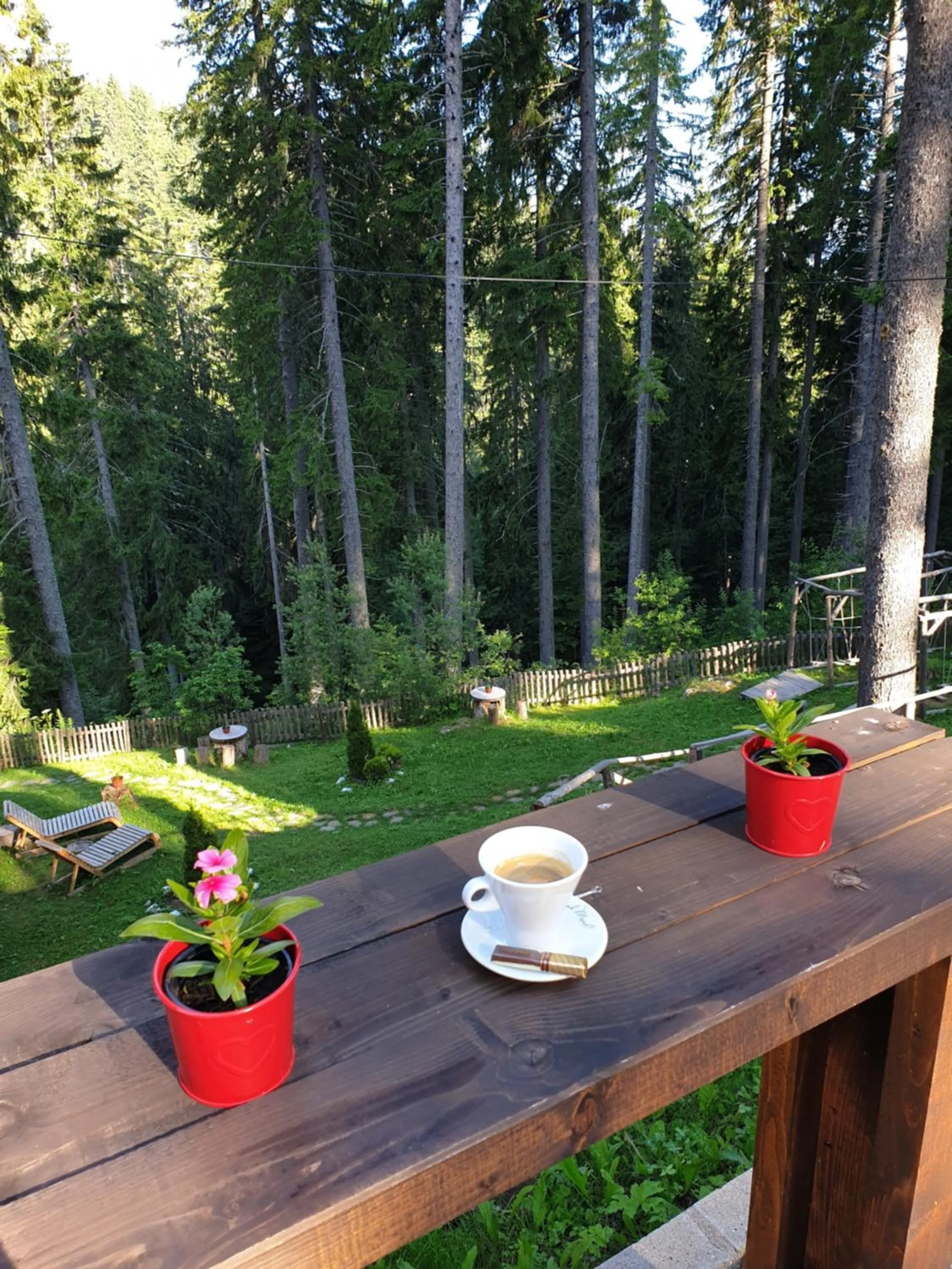 Day in Green Life Family Apartments Pamporovo