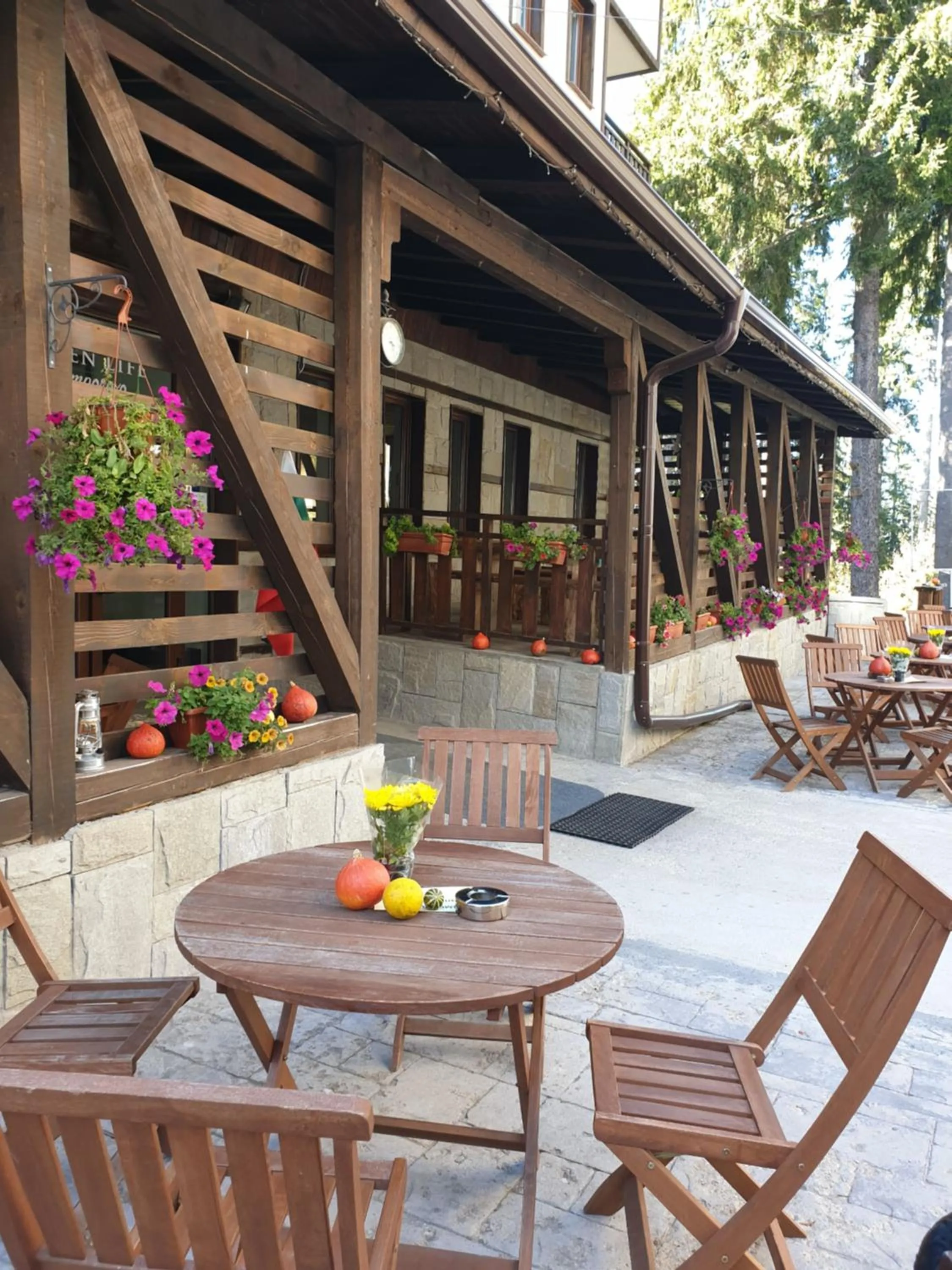 Day in Green Life Family Apartments Pamporovo