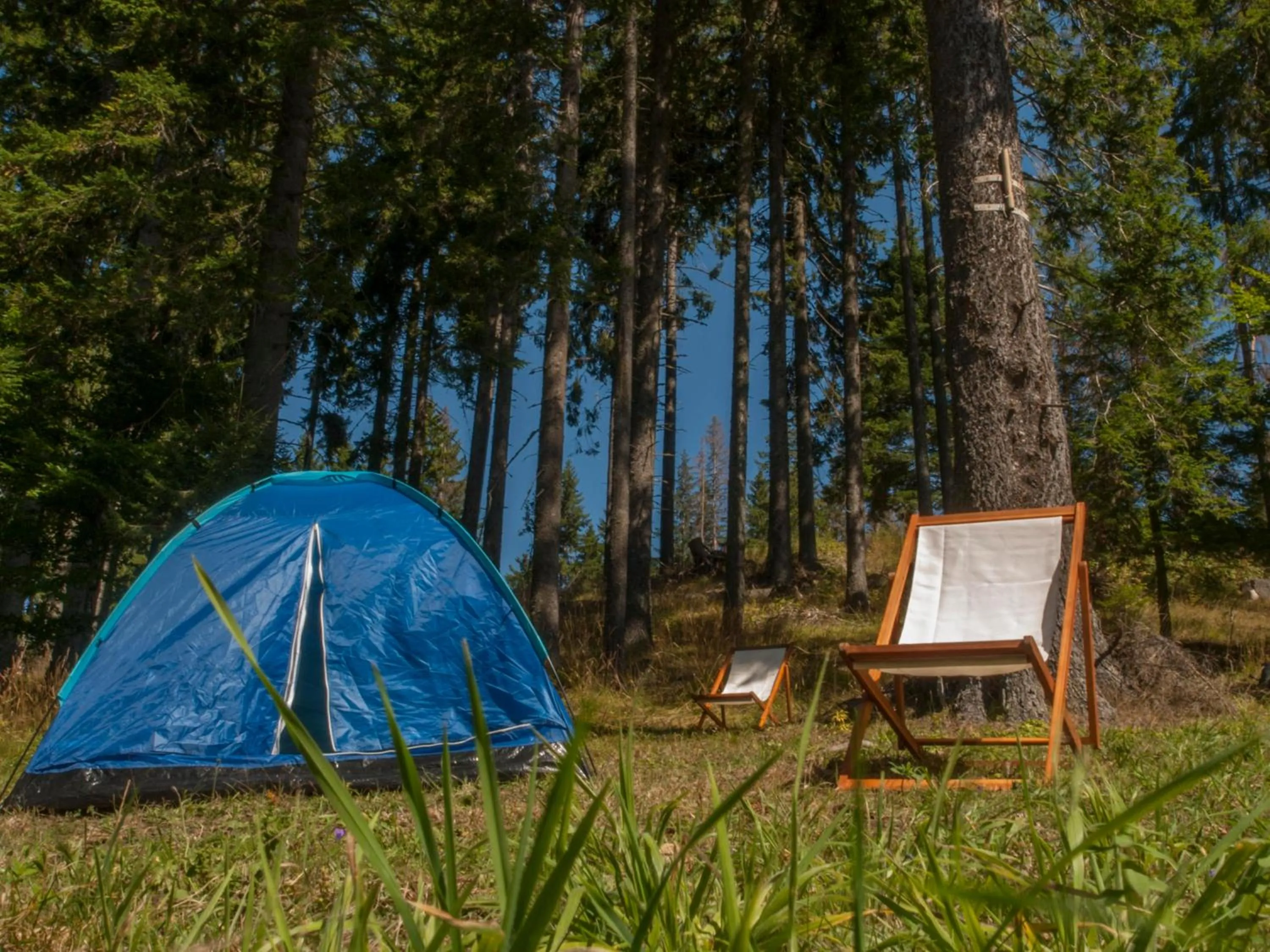 Garden in Green Life Family Apartments Pamporovo