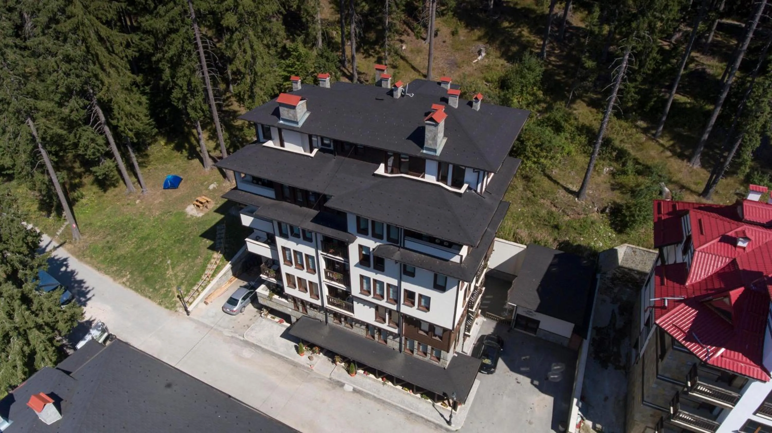 Bird's eye view in Green Life Family Apartments Pamporovo