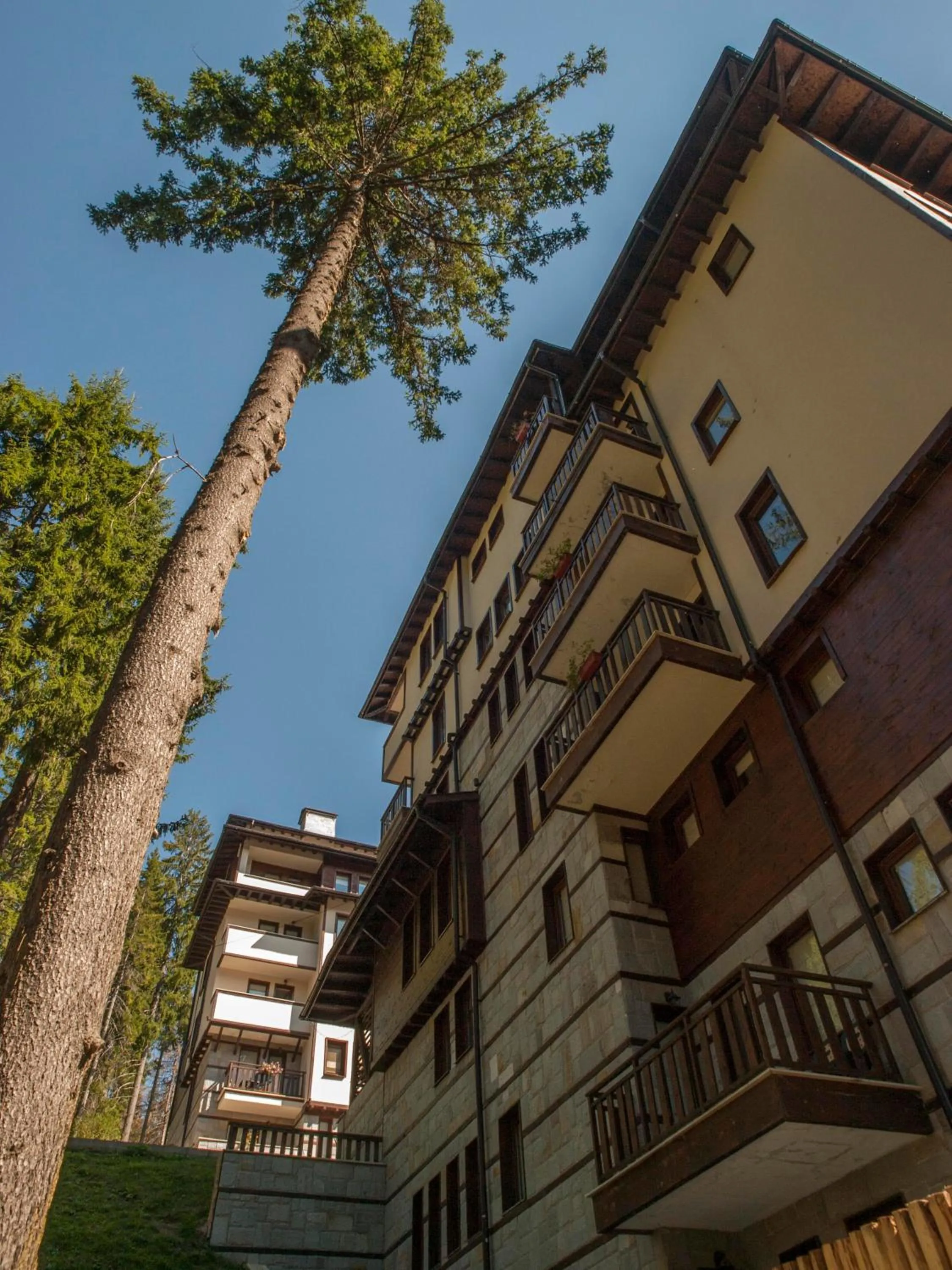 Property building in Green Life Family Apartments Pamporovo