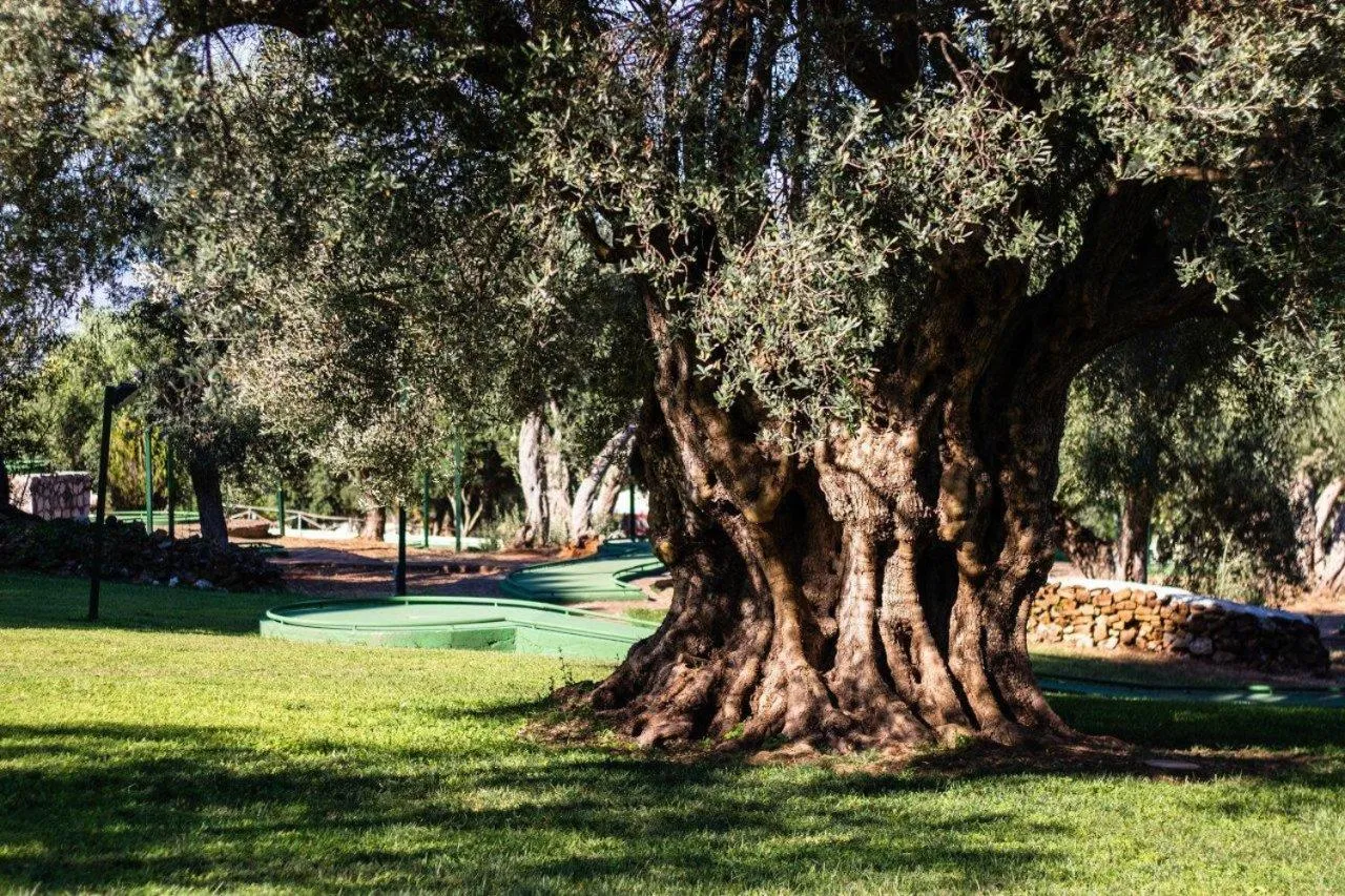 Garden in CDSHotels Terrasini - Città del Mare