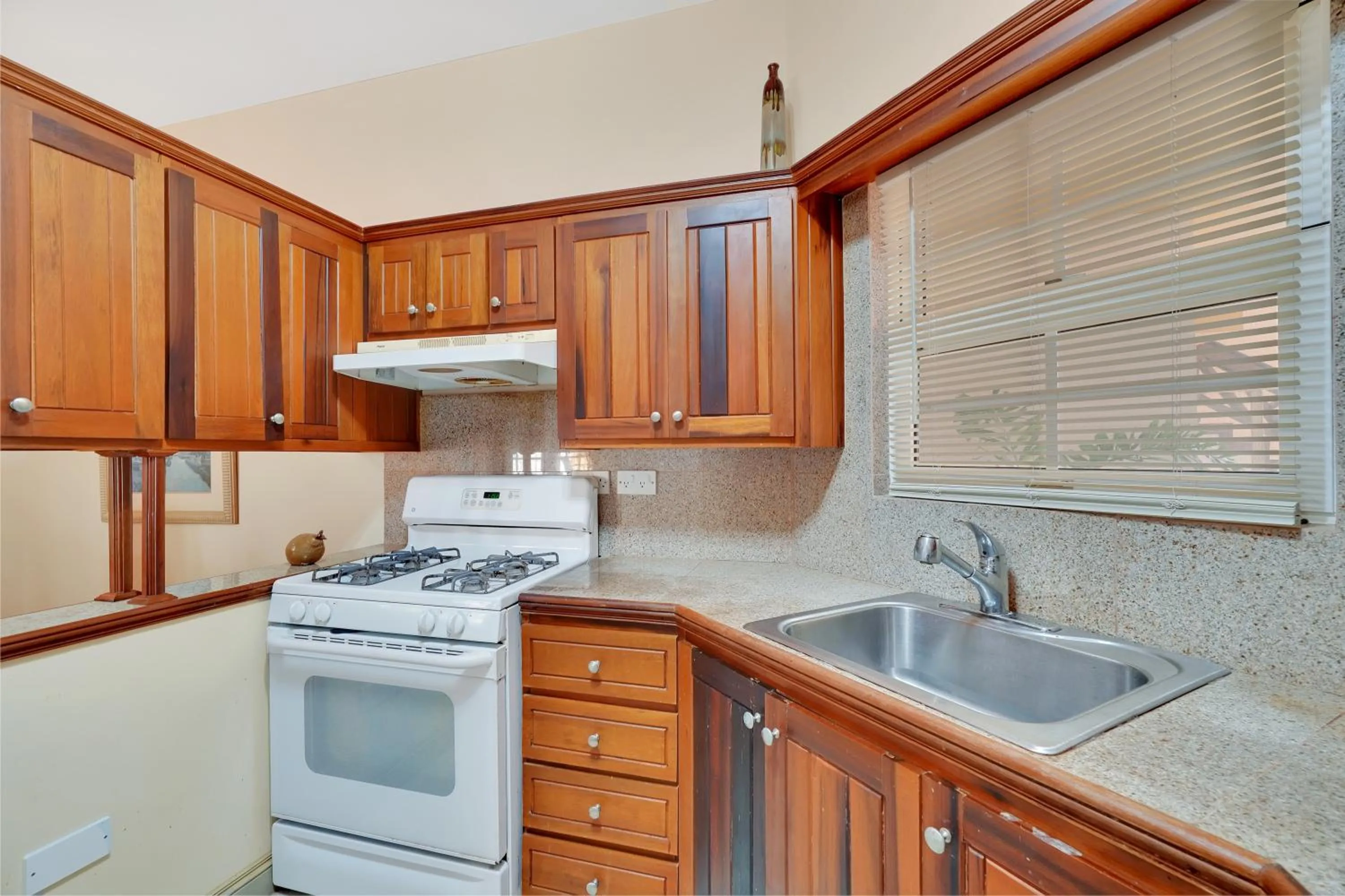 Kitchen or kitchenette in Mandela Court Suites Grenada