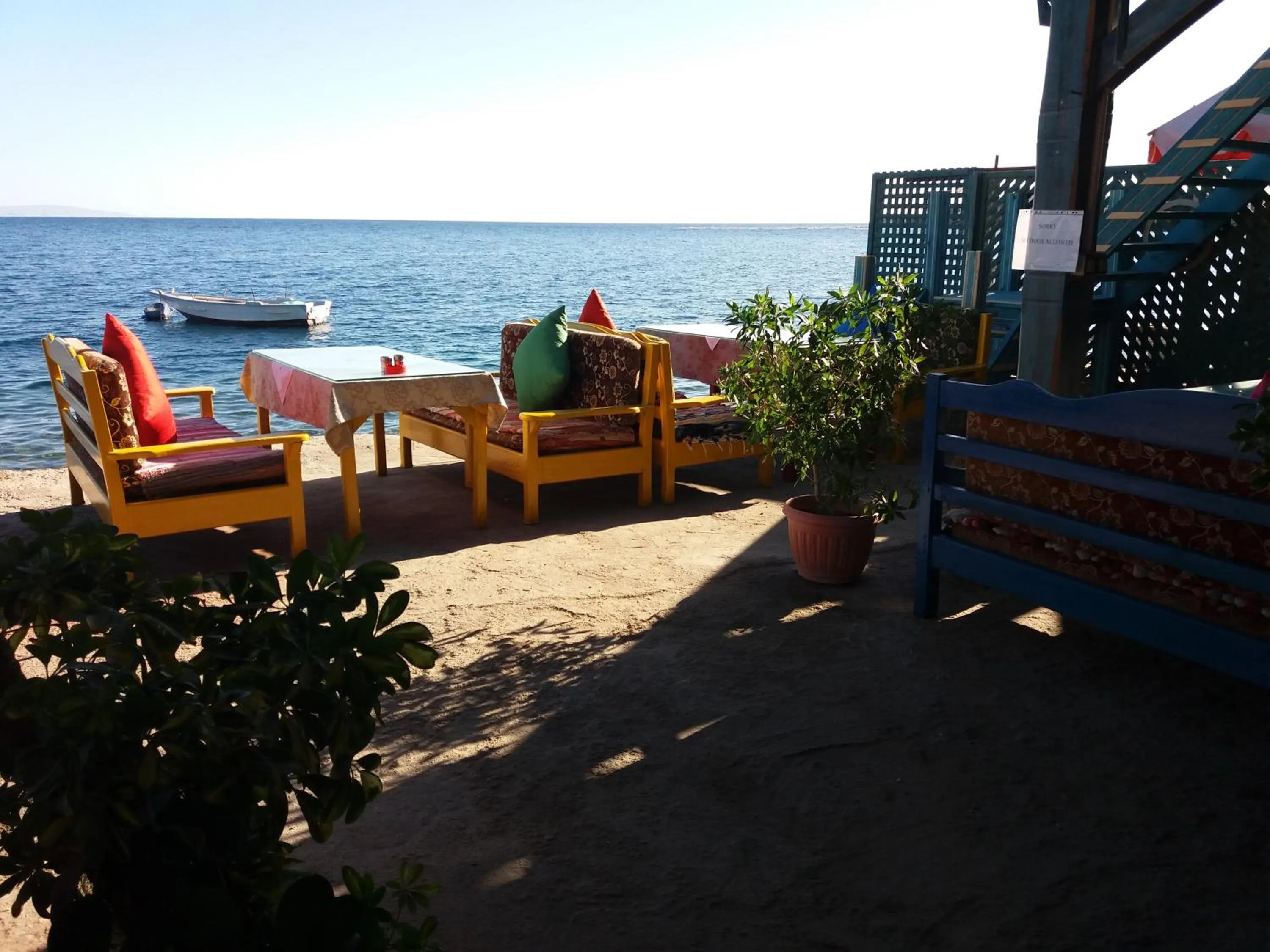 Beach in New Yalla Hotel