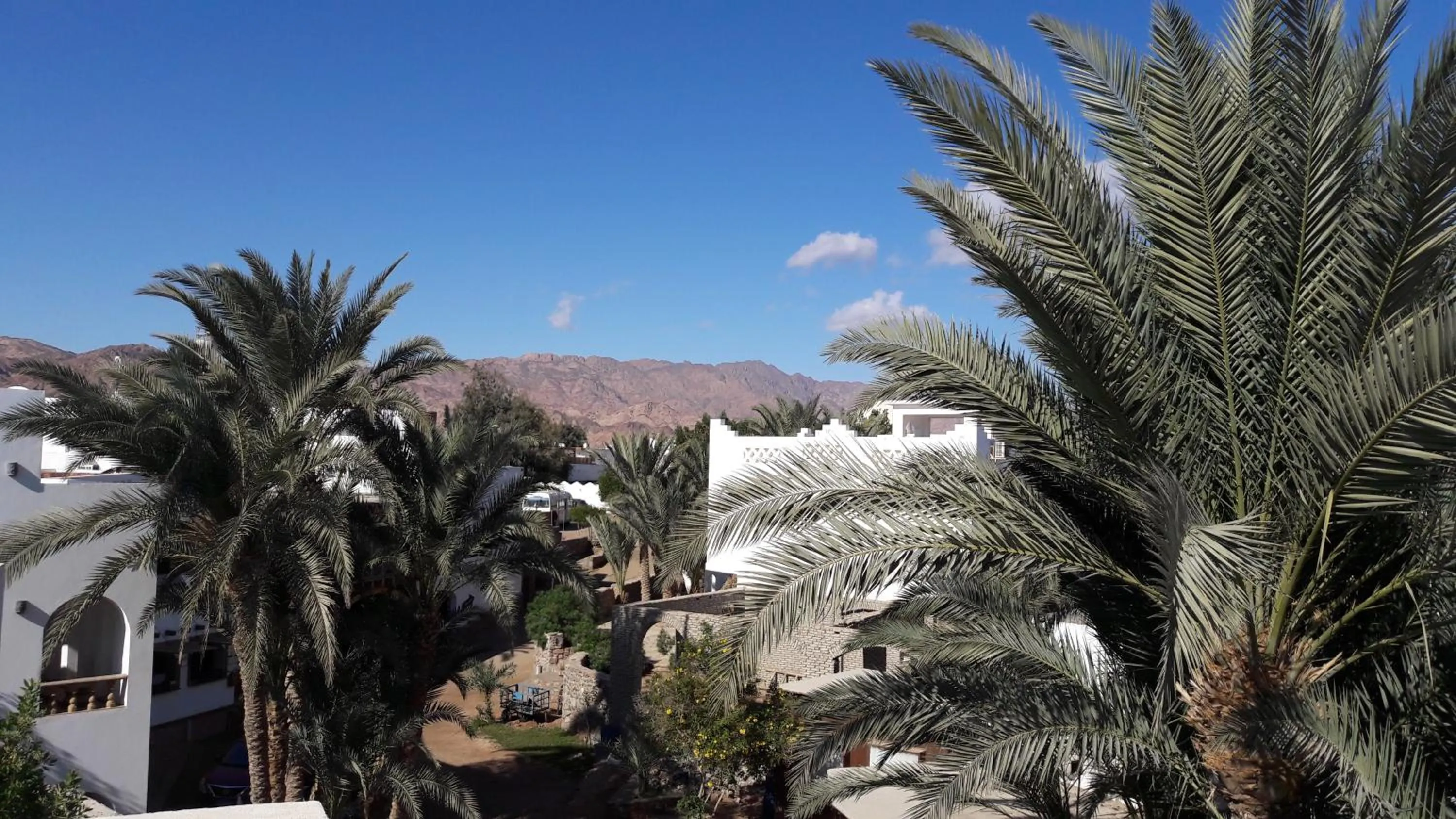 Natural landscape in New Yalla Hotel