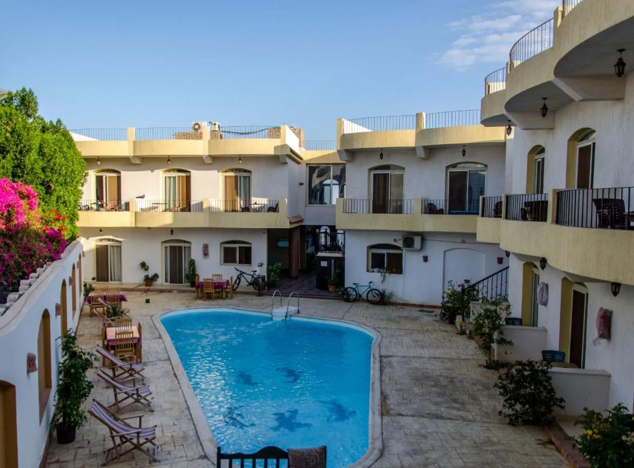 View (from property/room) in New Yalla Hotel