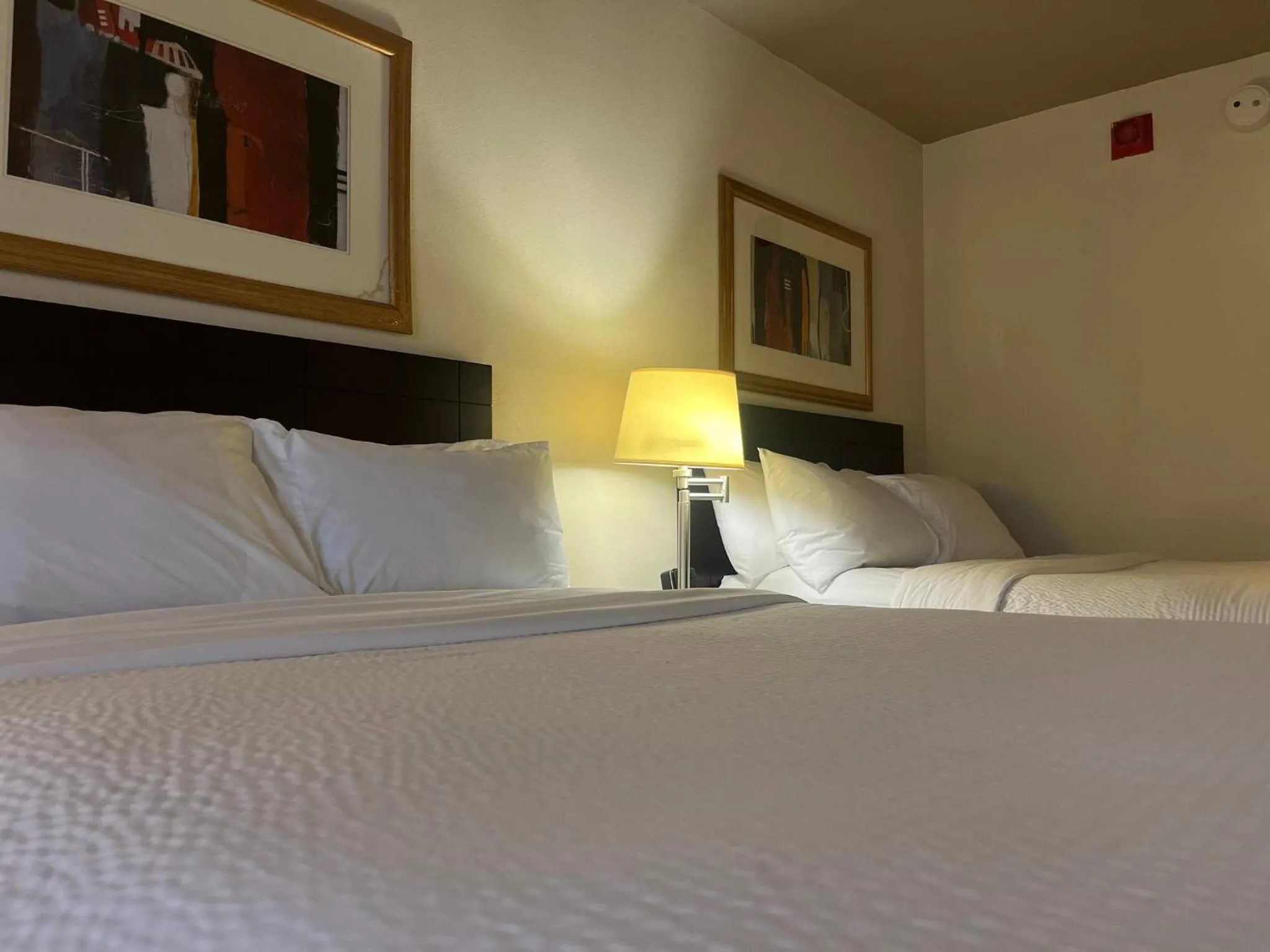 Photo of the whole room, Bed in Holiday Inn & Suites Springfield - I-44 by IHG