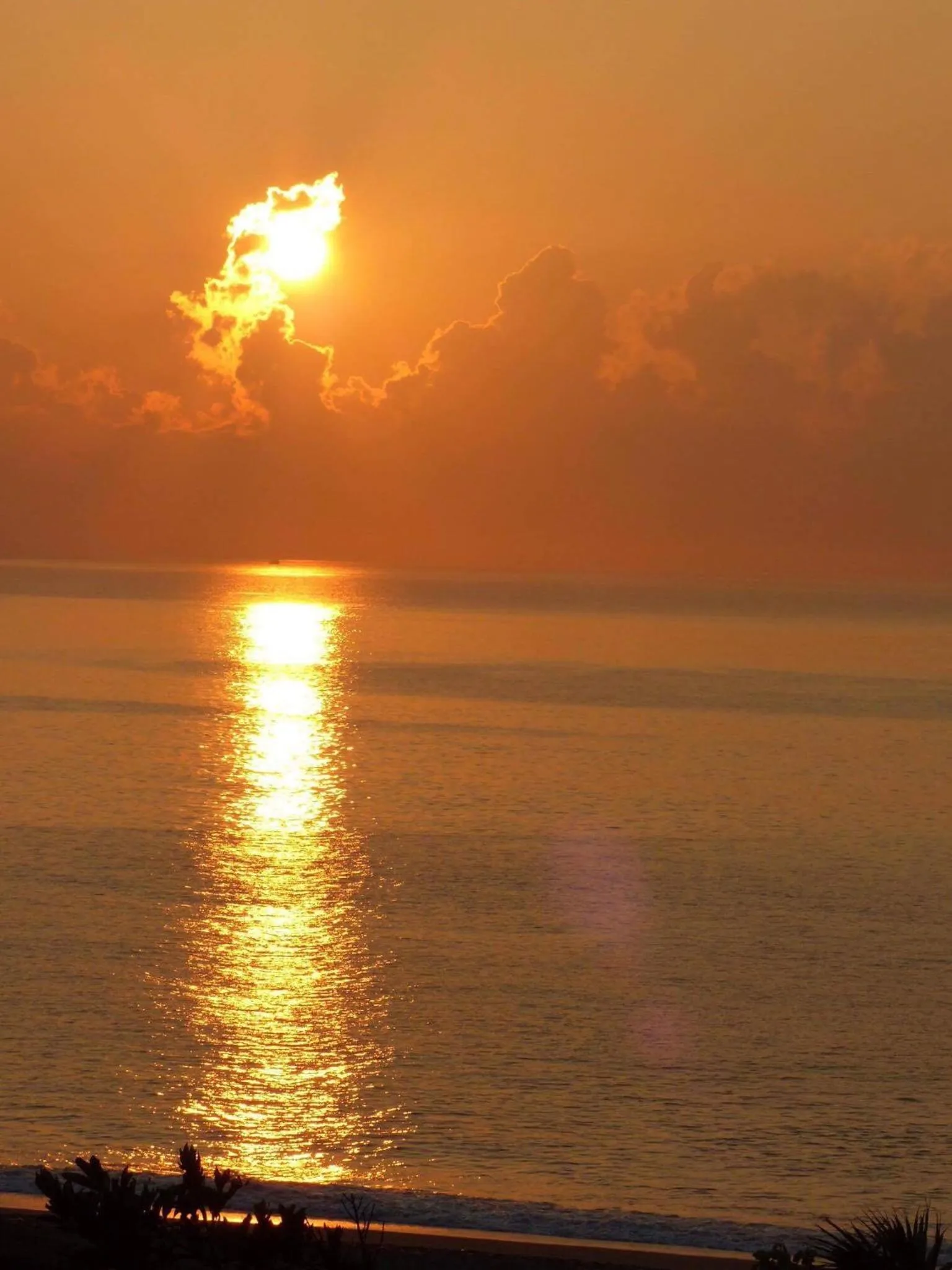 Natural landscape in Sea Forest Homestay