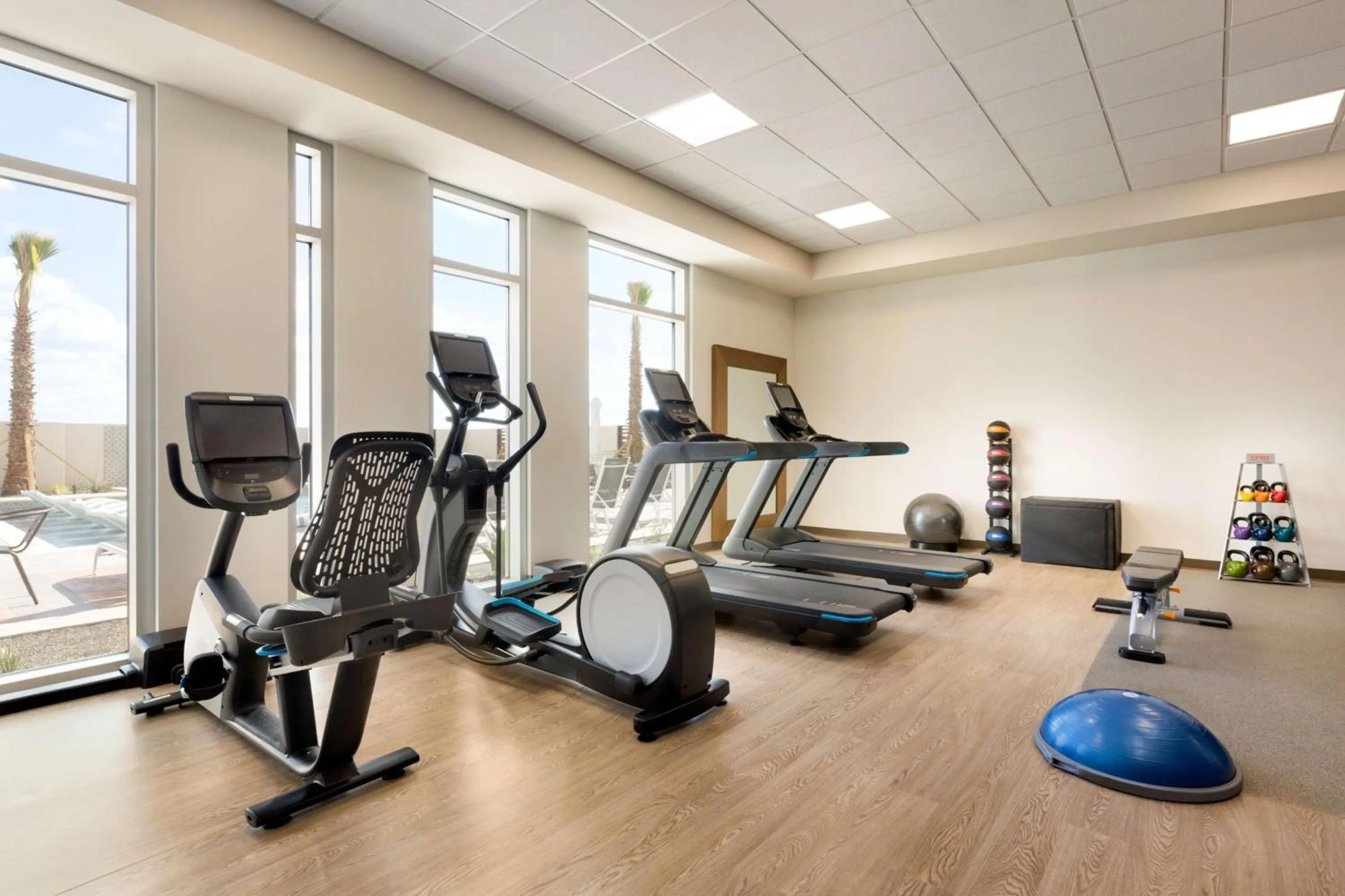 Fitness centre/facilities in Embassy Suites By Hilton San Antonio Landmark