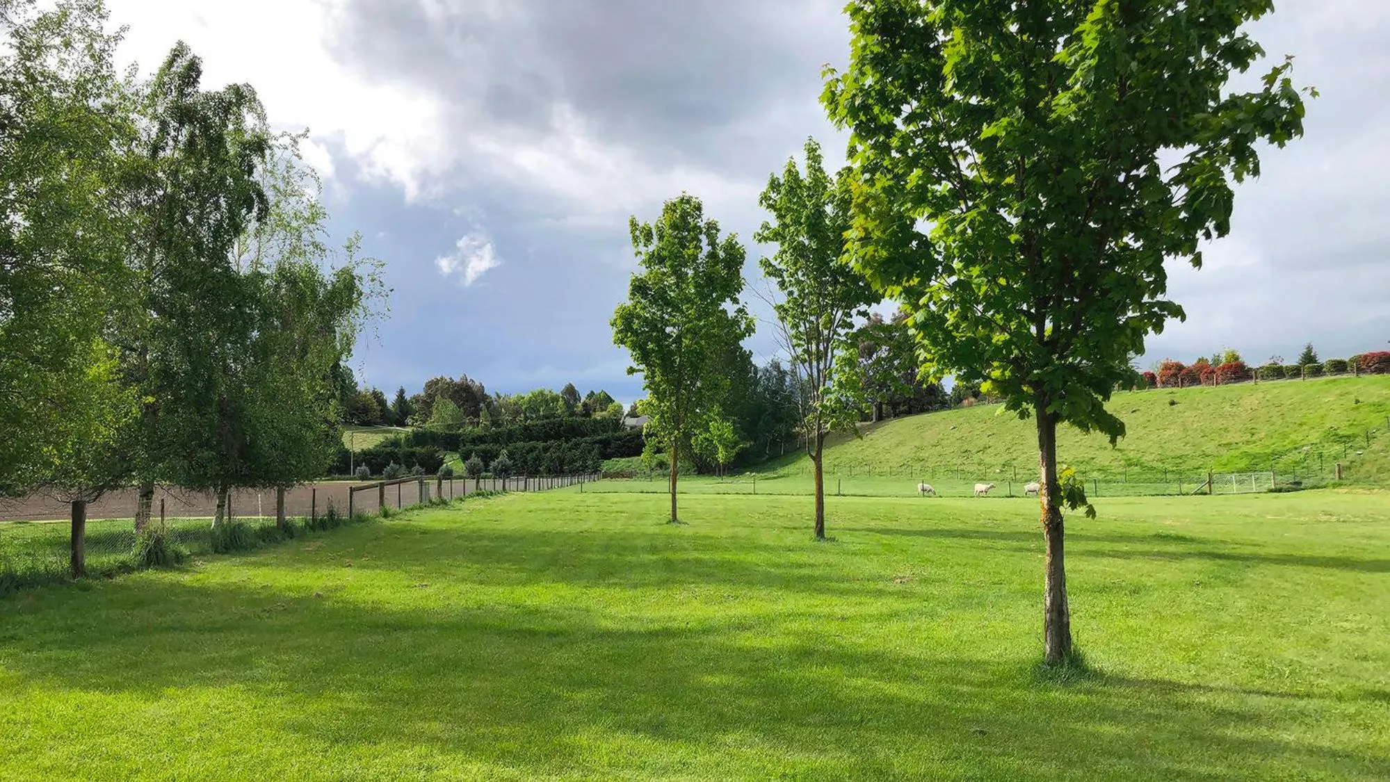 Natural landscape in Alpine View Lodge
