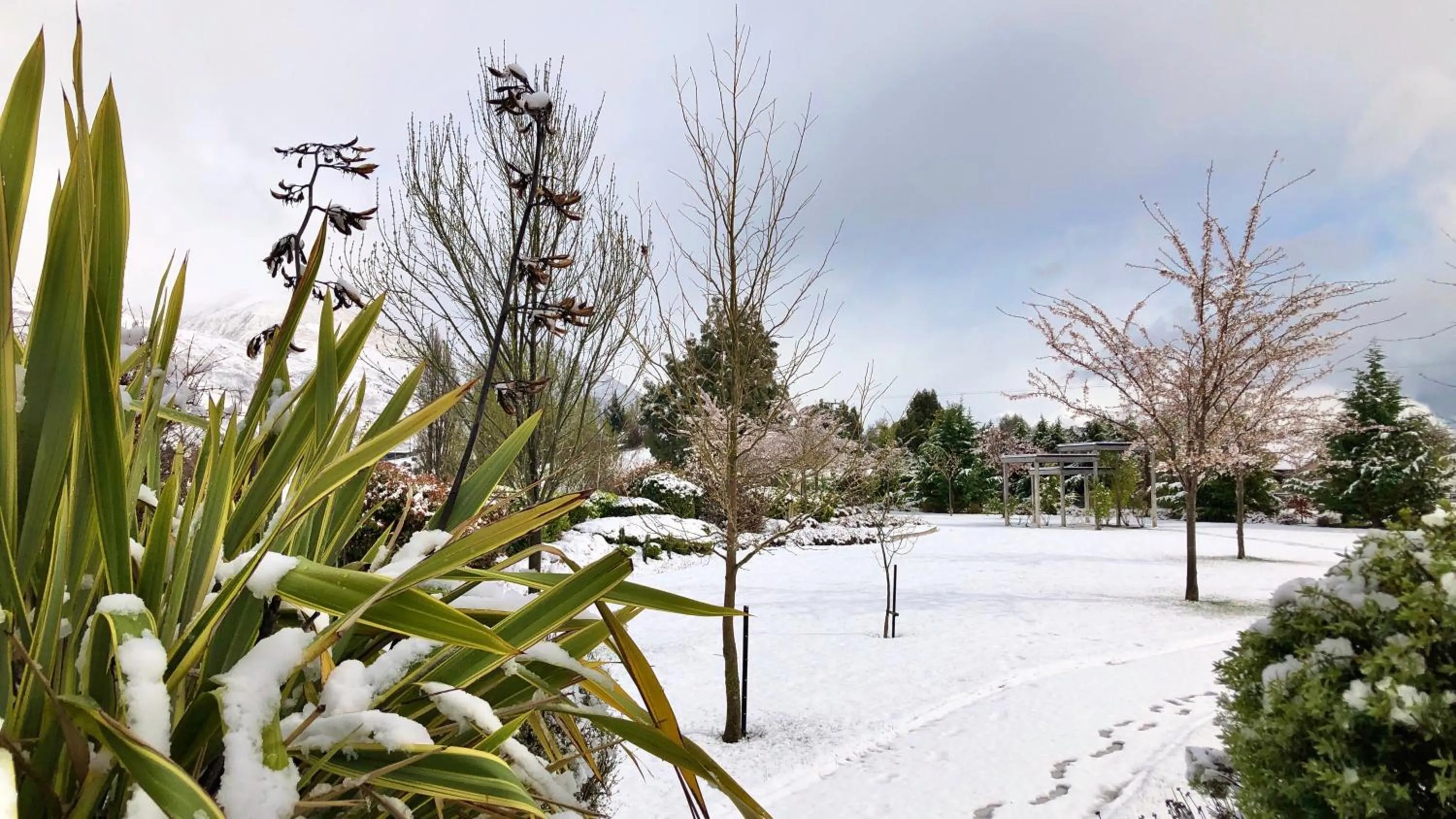 Winter in Alpine View Lodge