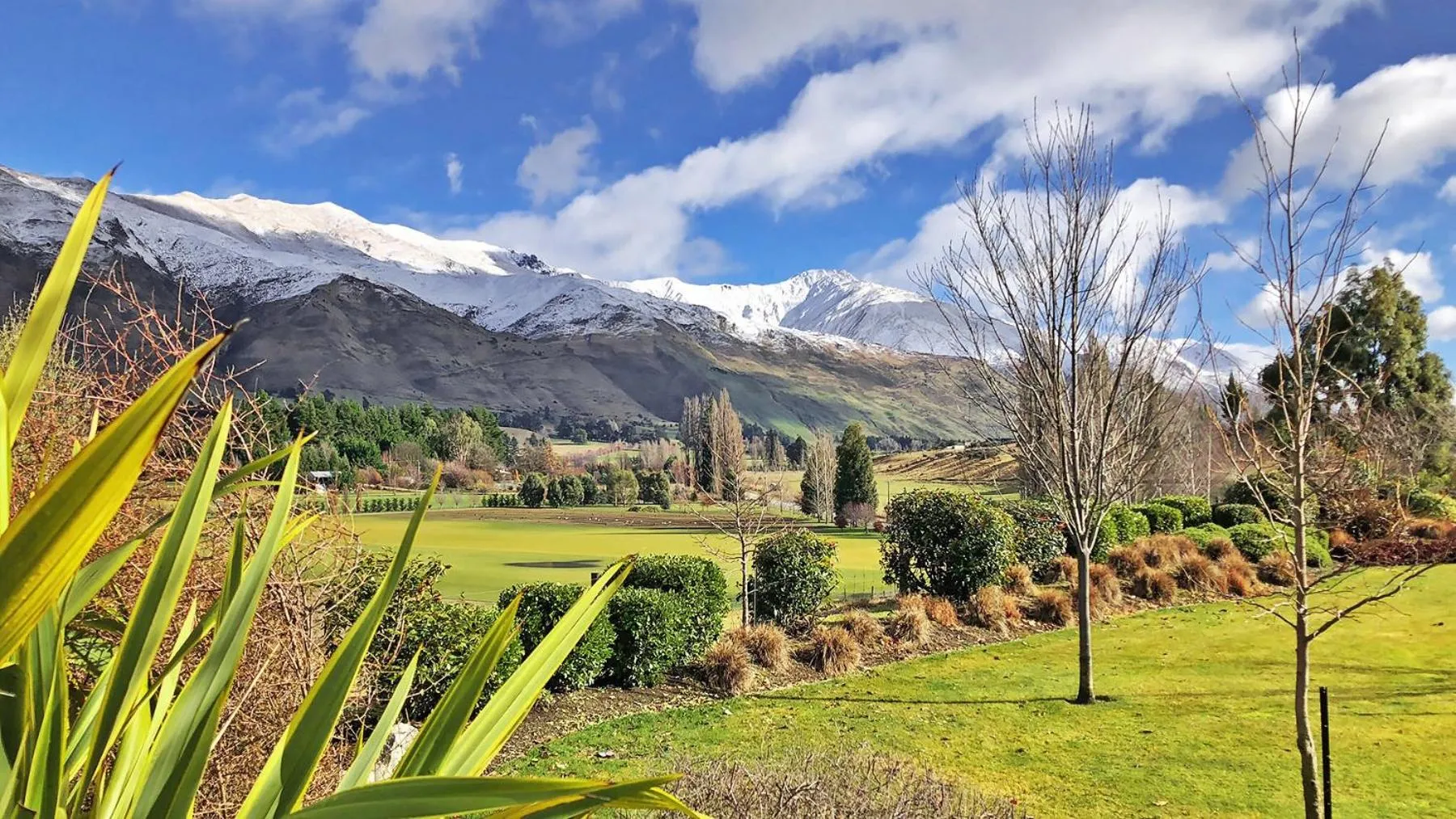 Garden in Alpine View Lodge