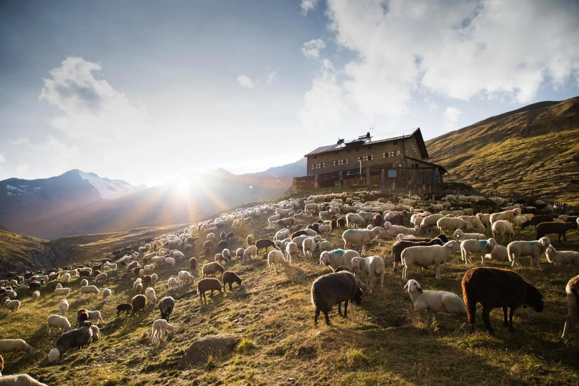 Hiking in Hotel Vent