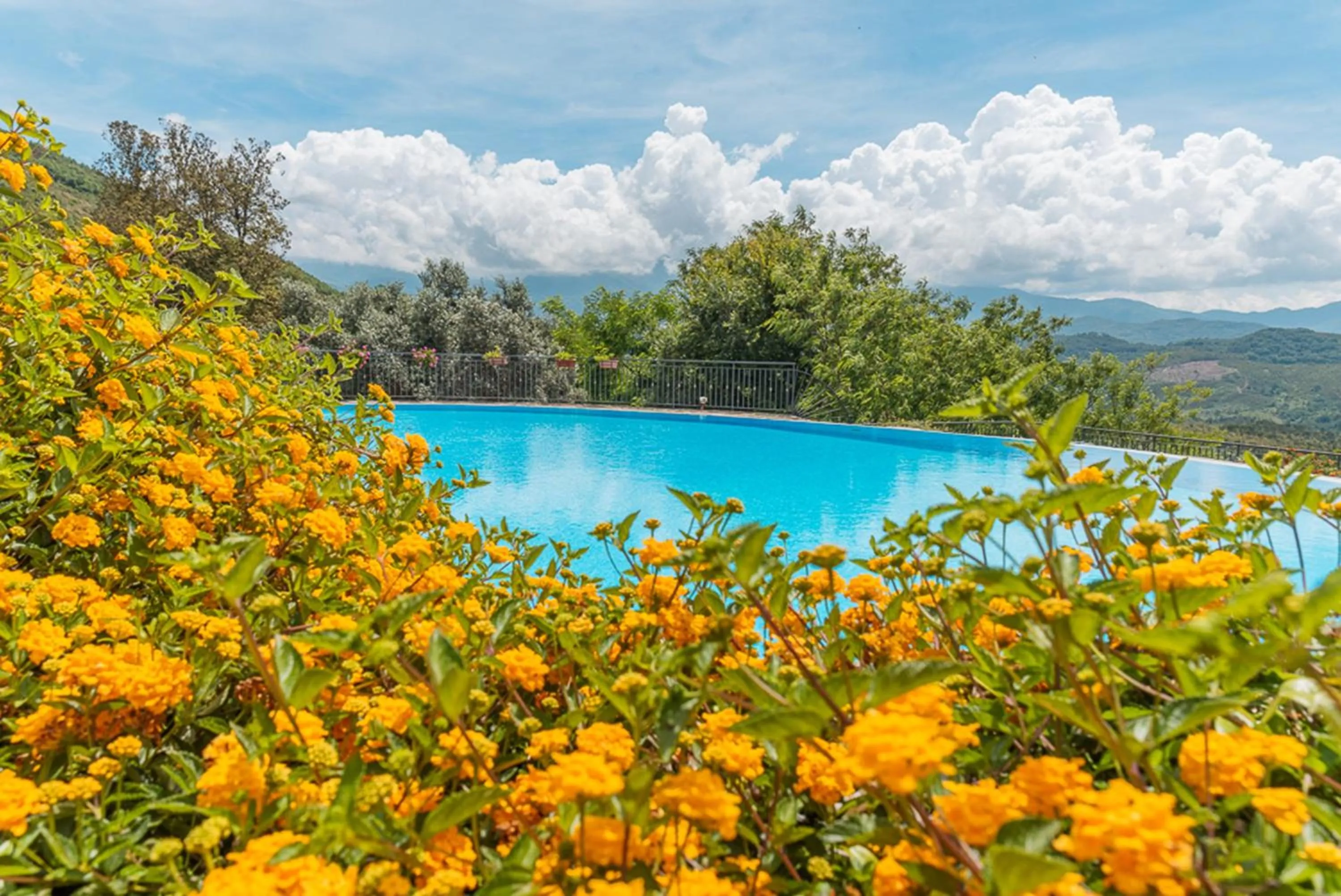 Swimming pool in Agriturismo San Basilio