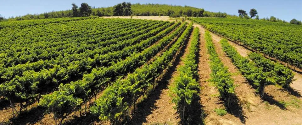 Area and facilities in Finiki Plaza