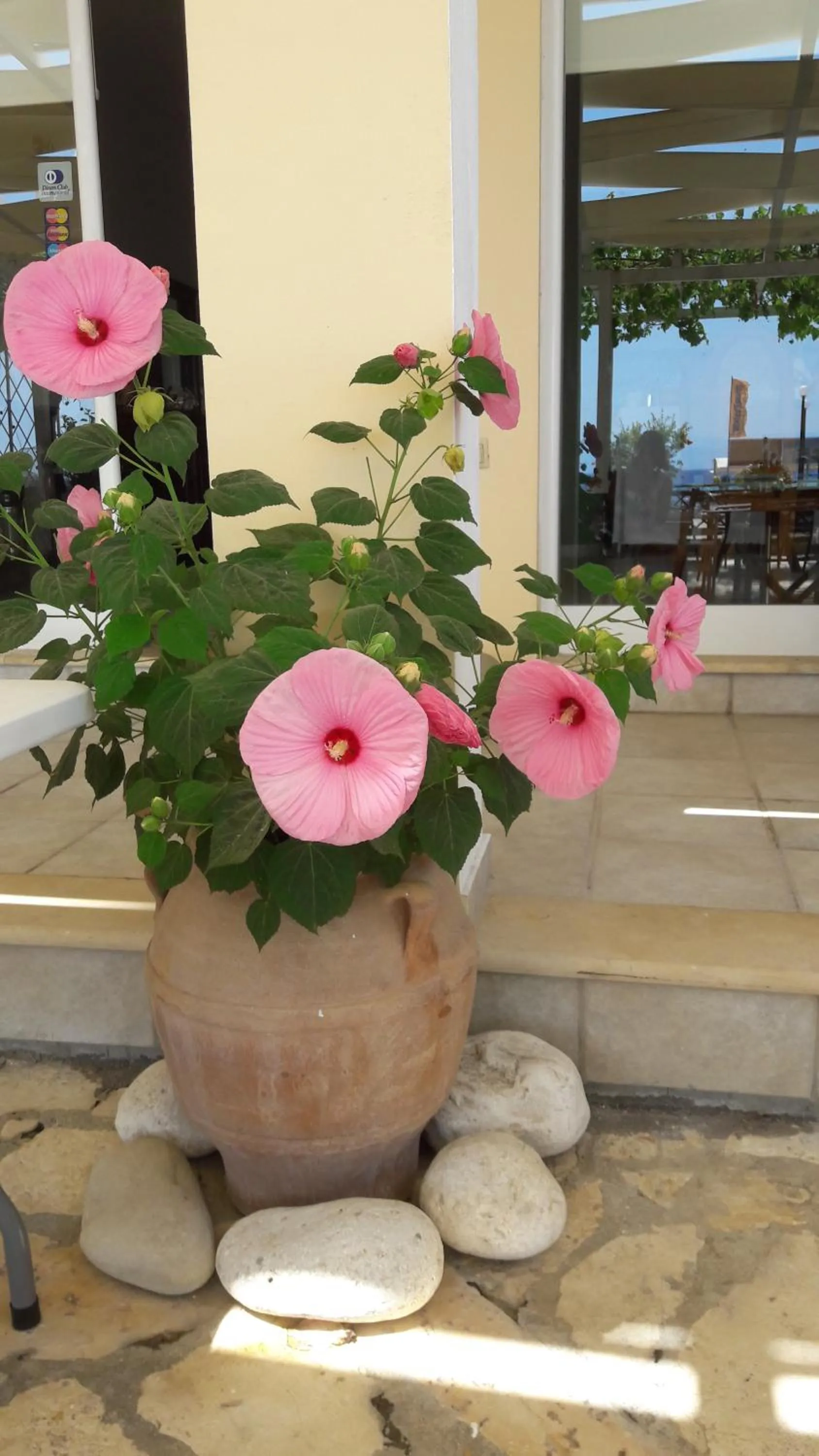 Patio in Eros Beach Hotel