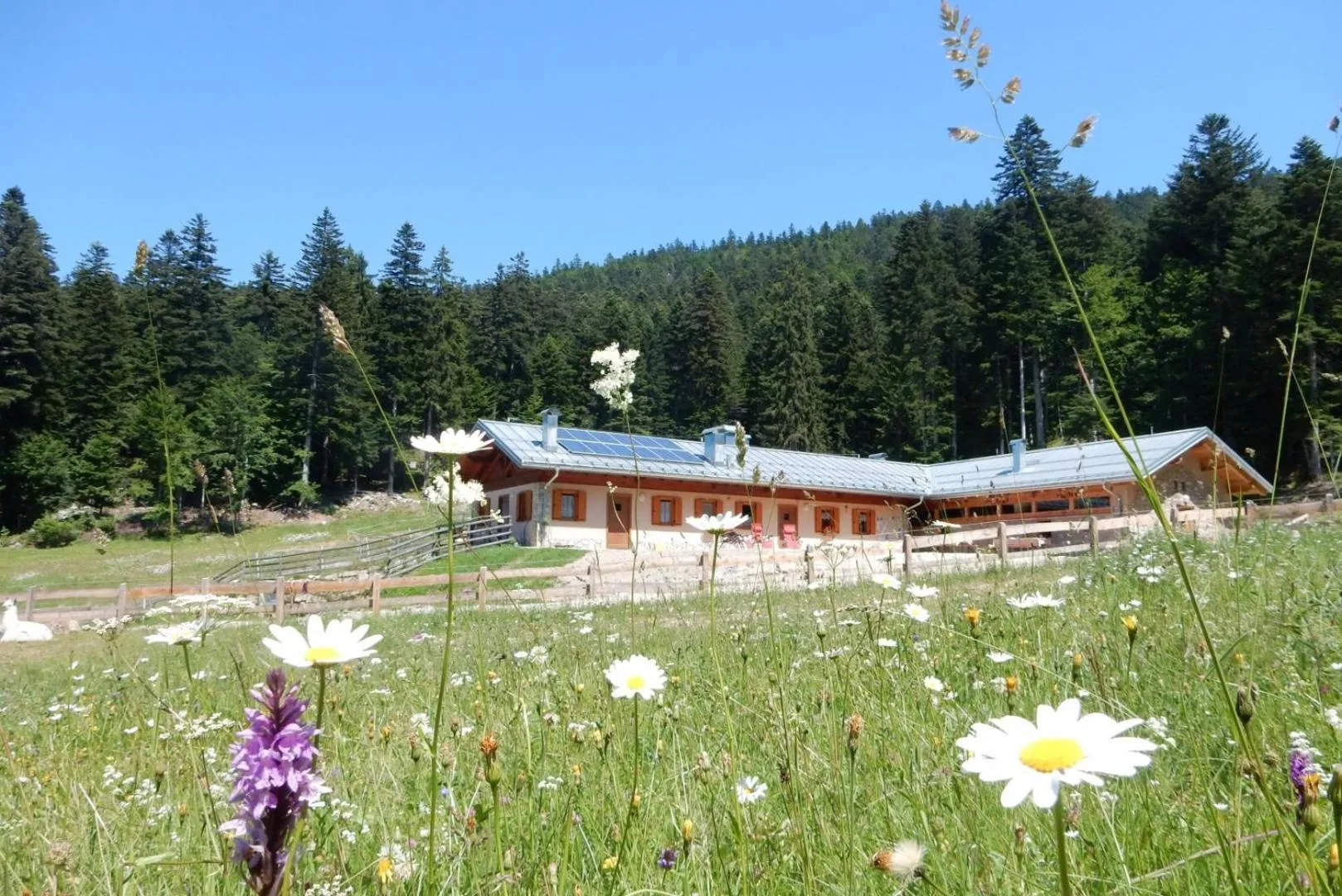 Nearby landmark in Hotel Fai