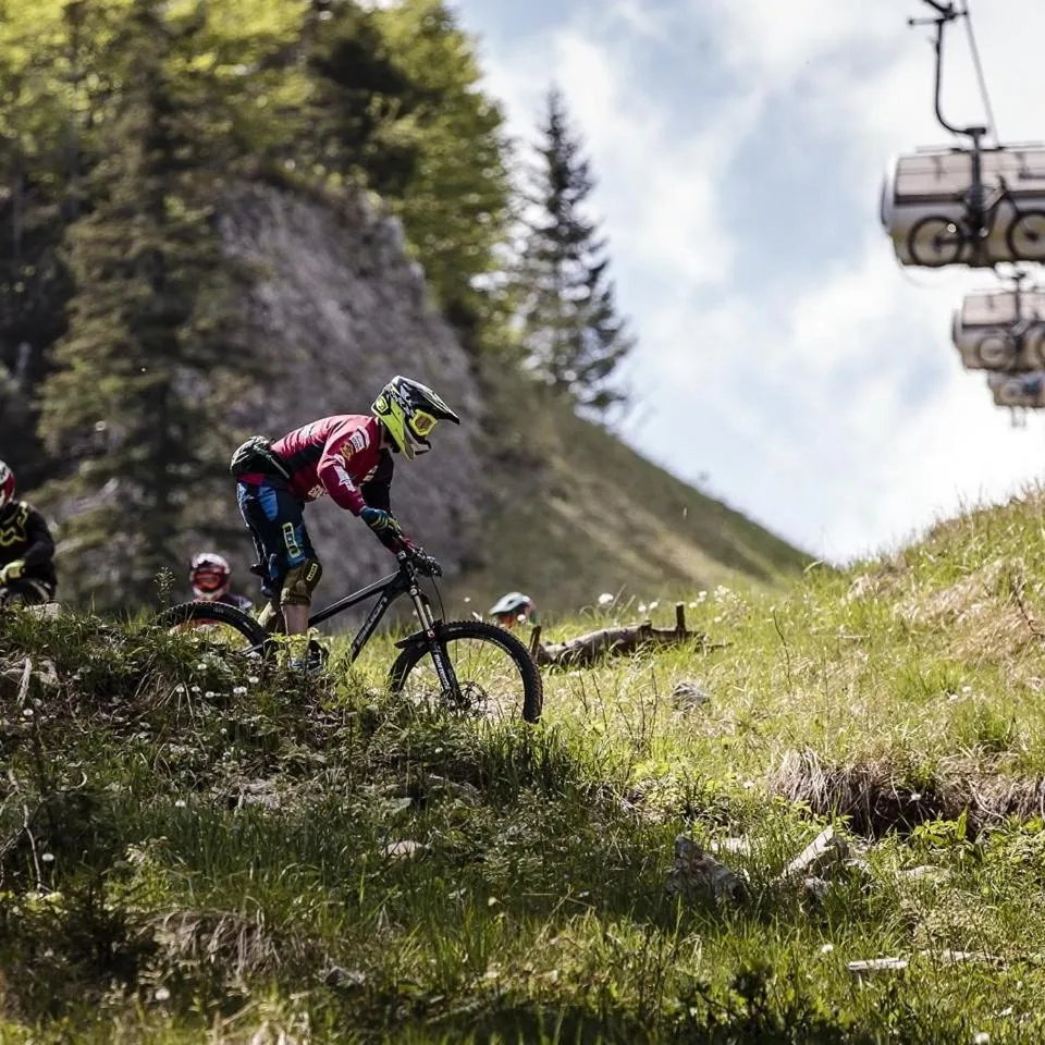 Activities in Hotel Fai