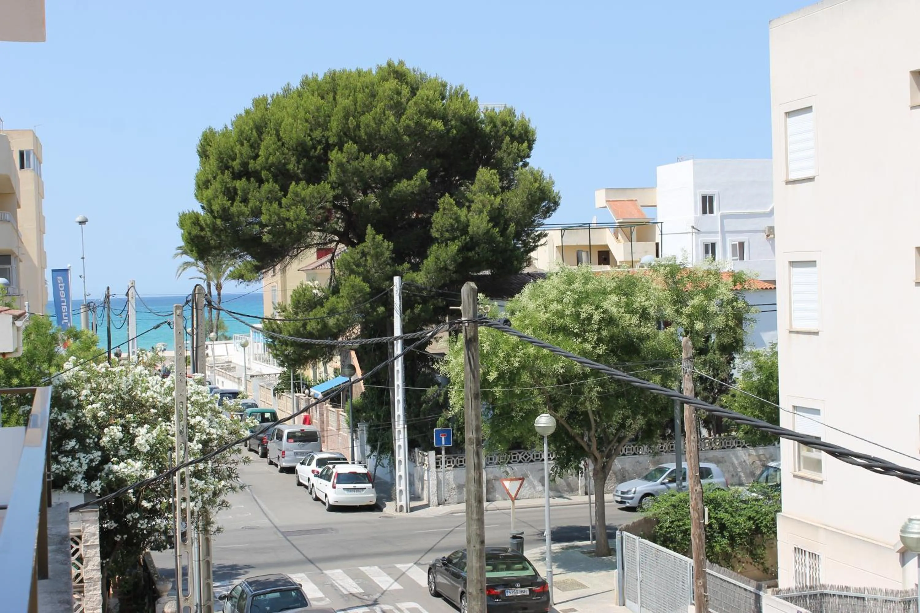 Natural landscape in Hotel Raxa