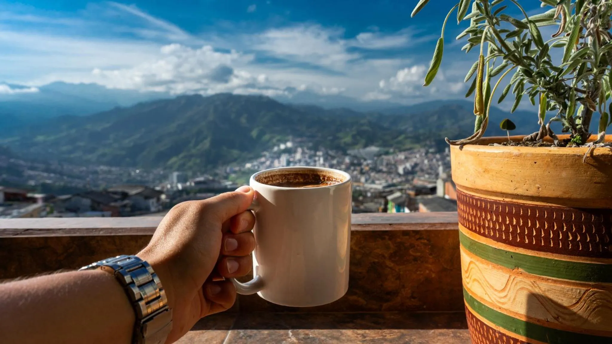 City view in Casa Mama Hotel