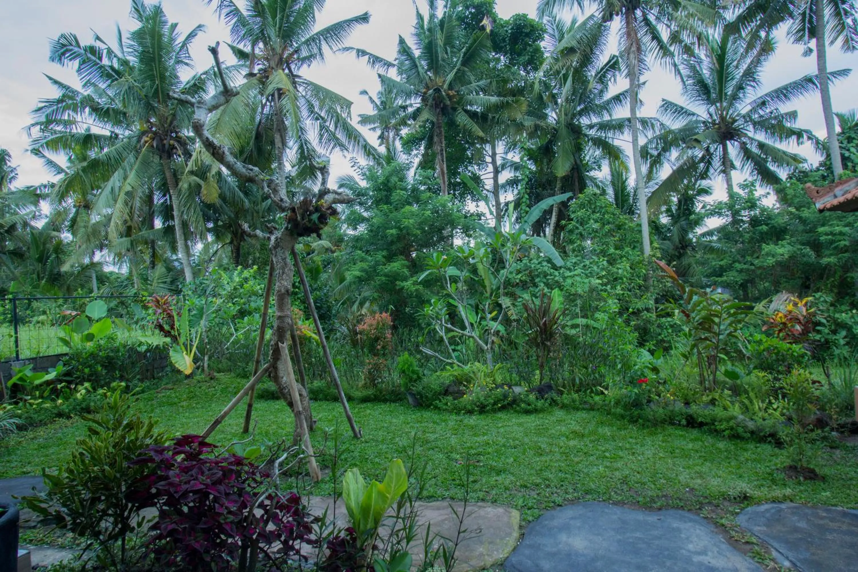 Garden in Vinayaka Ubud