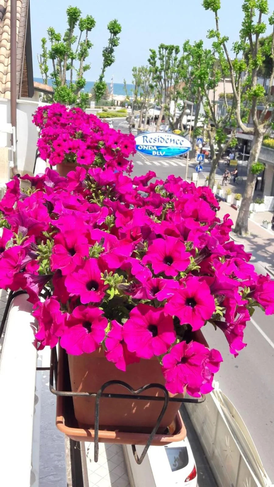 Day in Residence Onda Blu