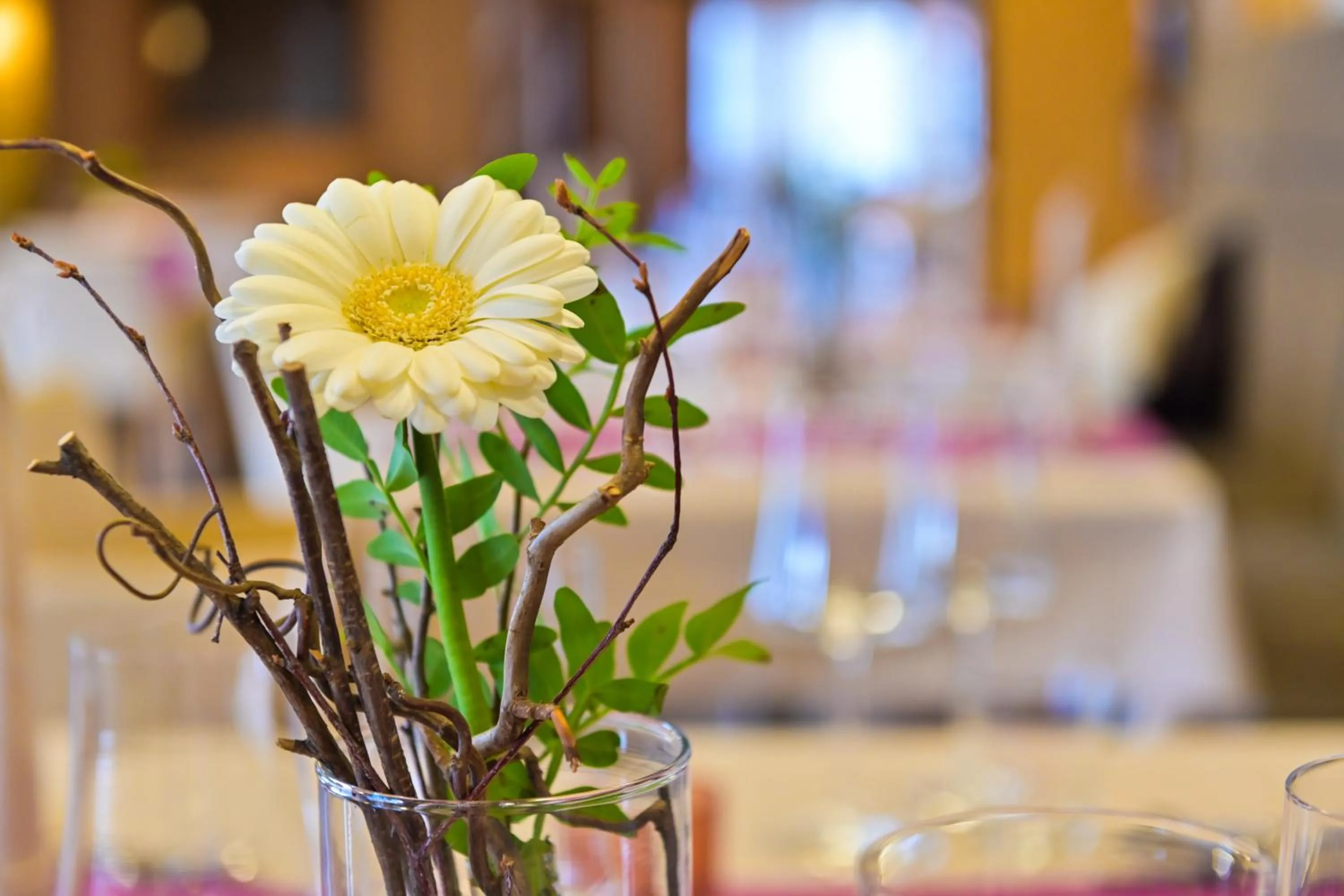 Food and drinks in Hotel Tauernstern