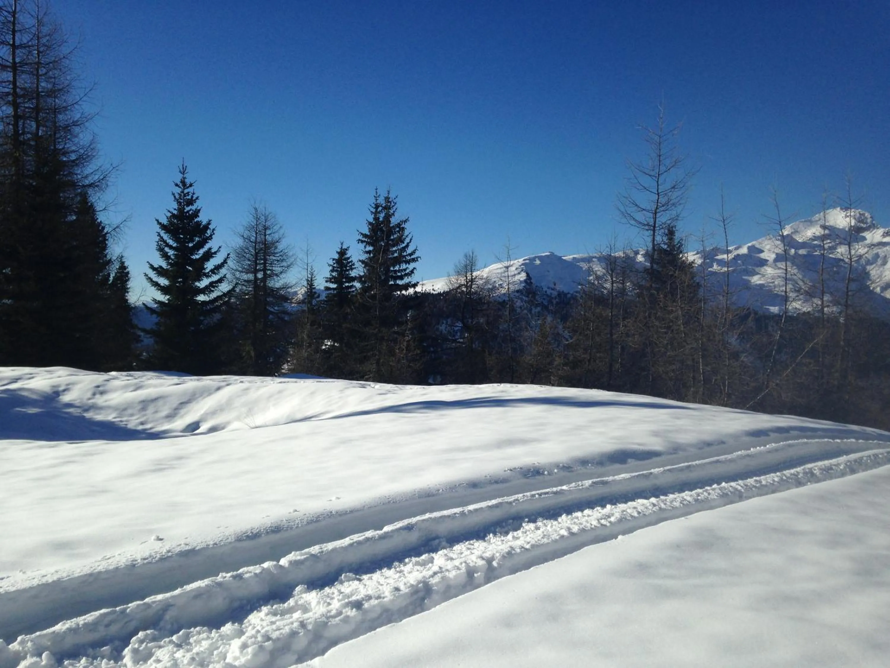 Skiing in Hotel Tauernstern
