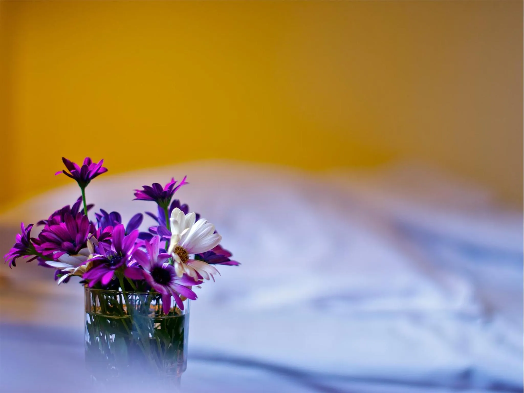 Other, Bed in Gaffelbyn - Sundsvalls Vandrarhem