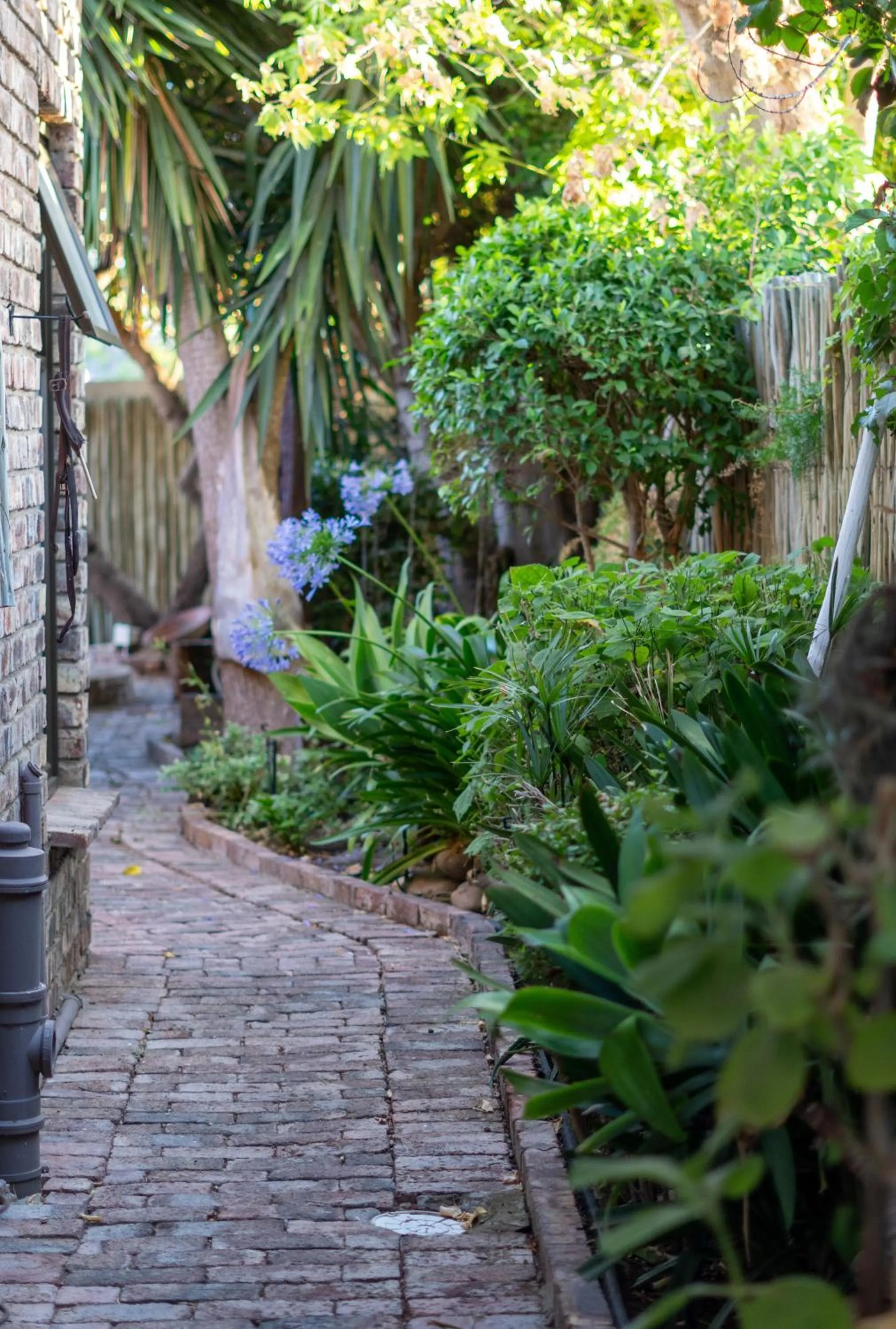 Garden in Earthbound Guest House
