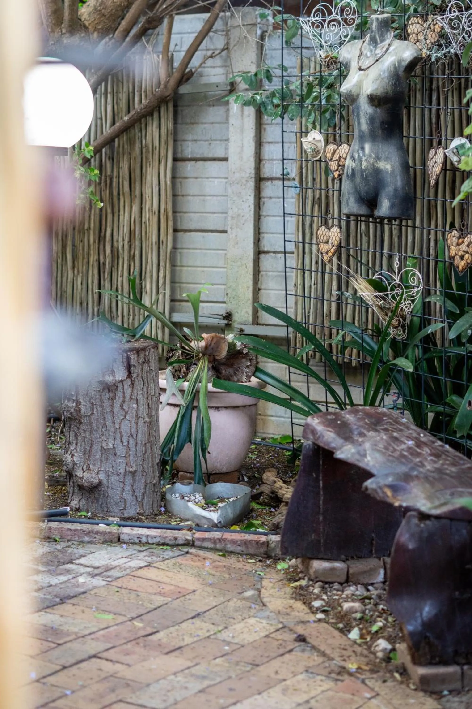 Garden view in Earthbound Guest House