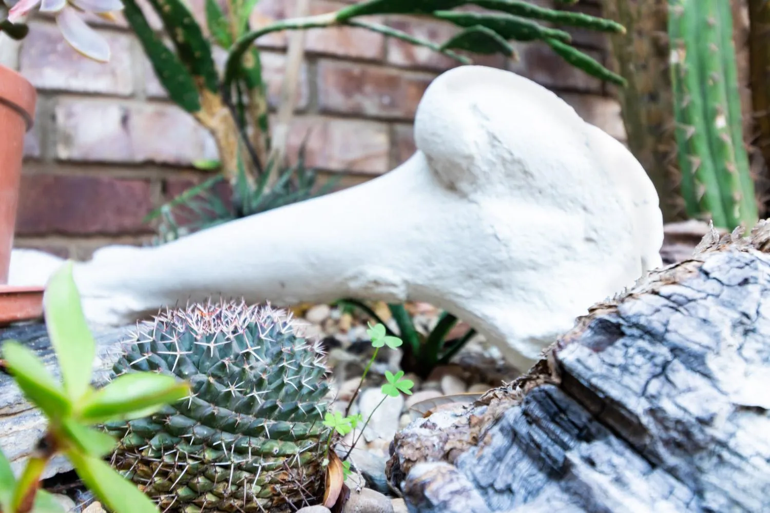 Decorative detail in Earthbound Guest House