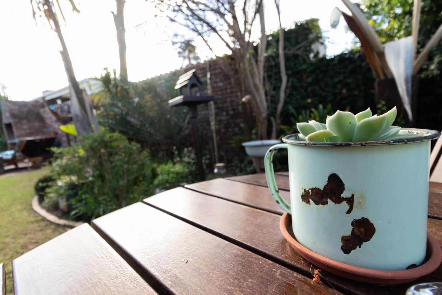Garden in Earthbound Guest House