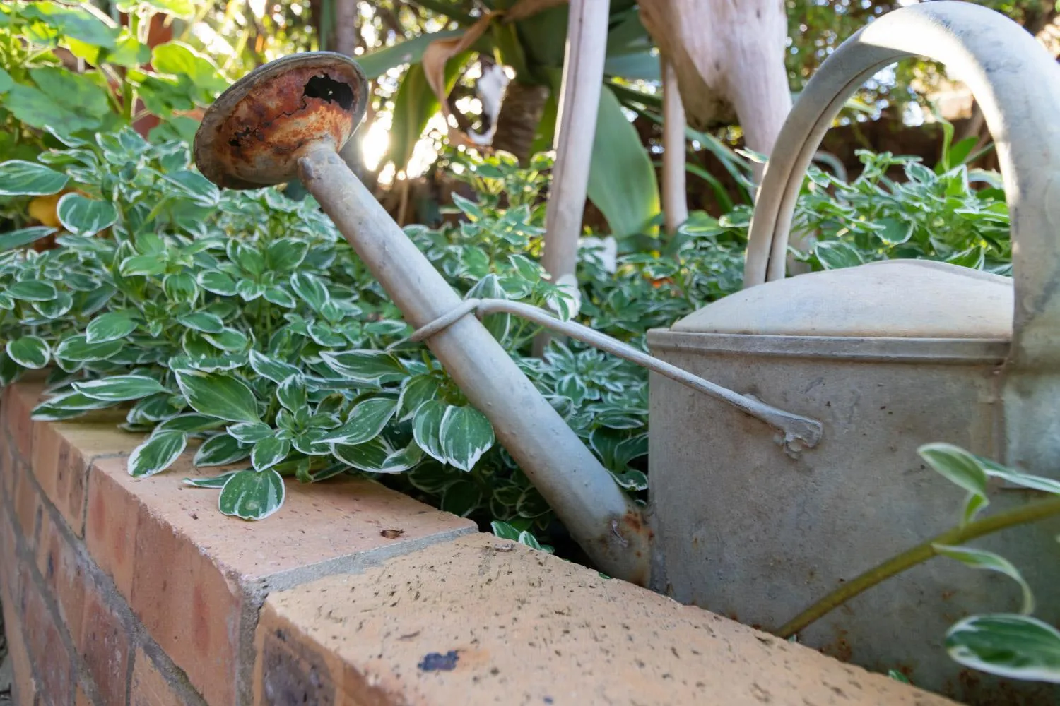Decorative detail in Earthbound Guest House