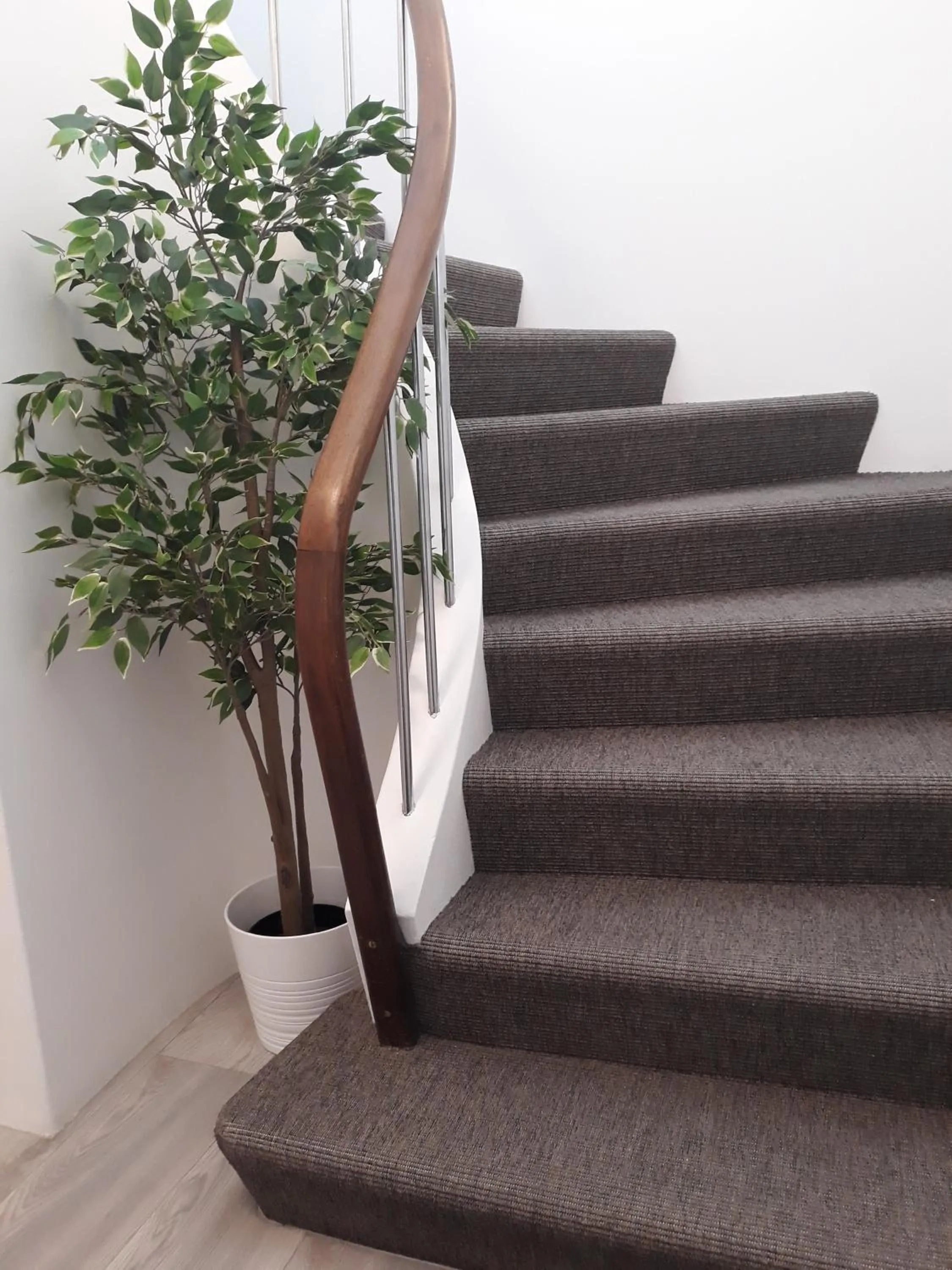 Decorative detail in Post-Plaza Guesthouse