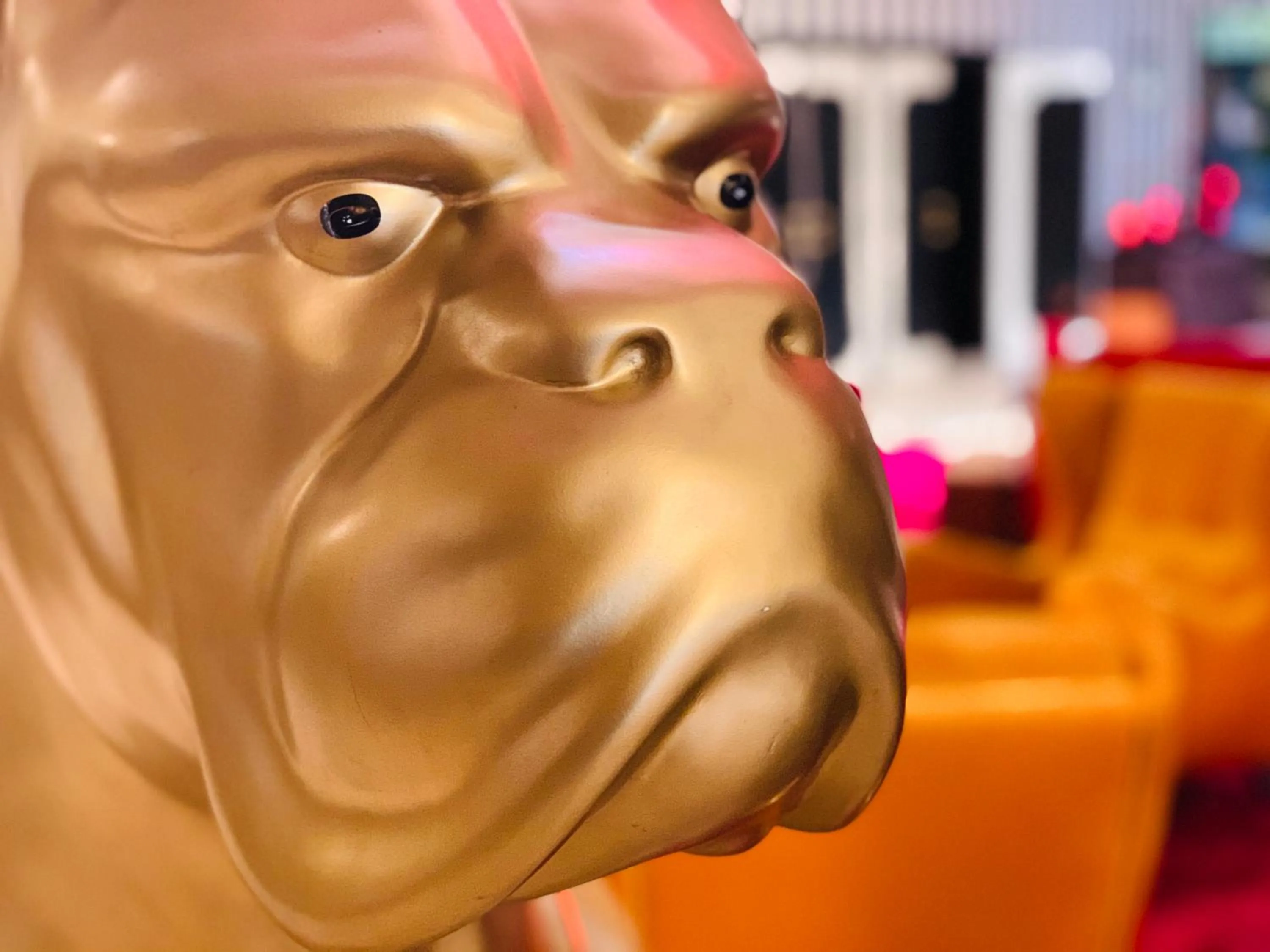 Grand Hôtel de Nîmes 4 étoiles