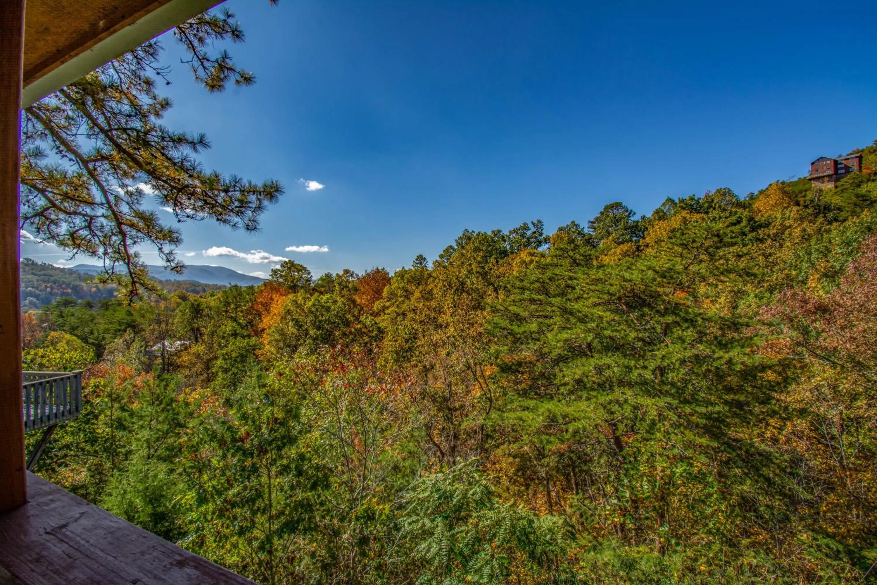 Natural landscape in Ladybug Resort Romantic Cabin With Mountain Views, Game Room, Close to Dollywood