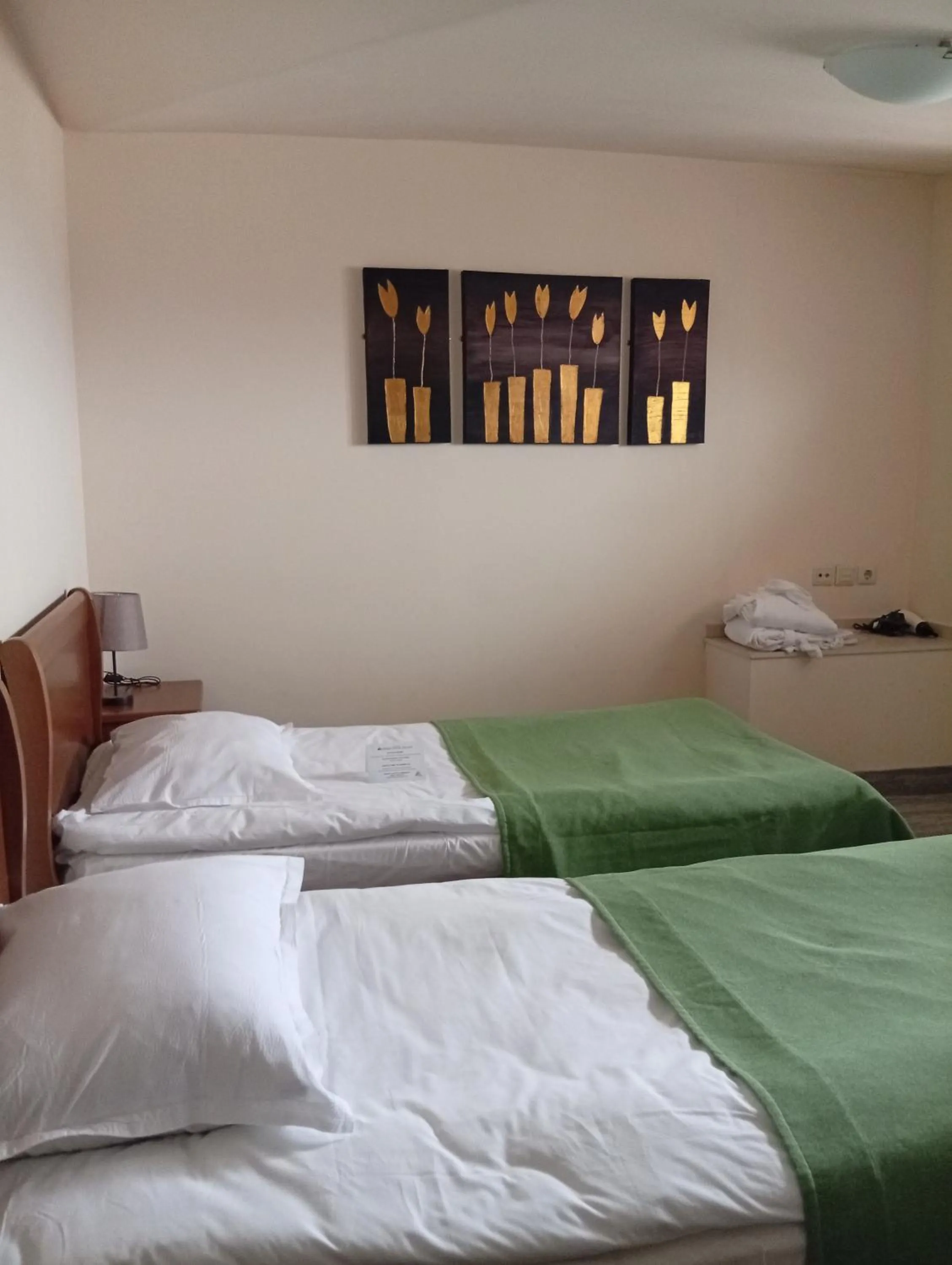 Bed in Vihren Royal Palace